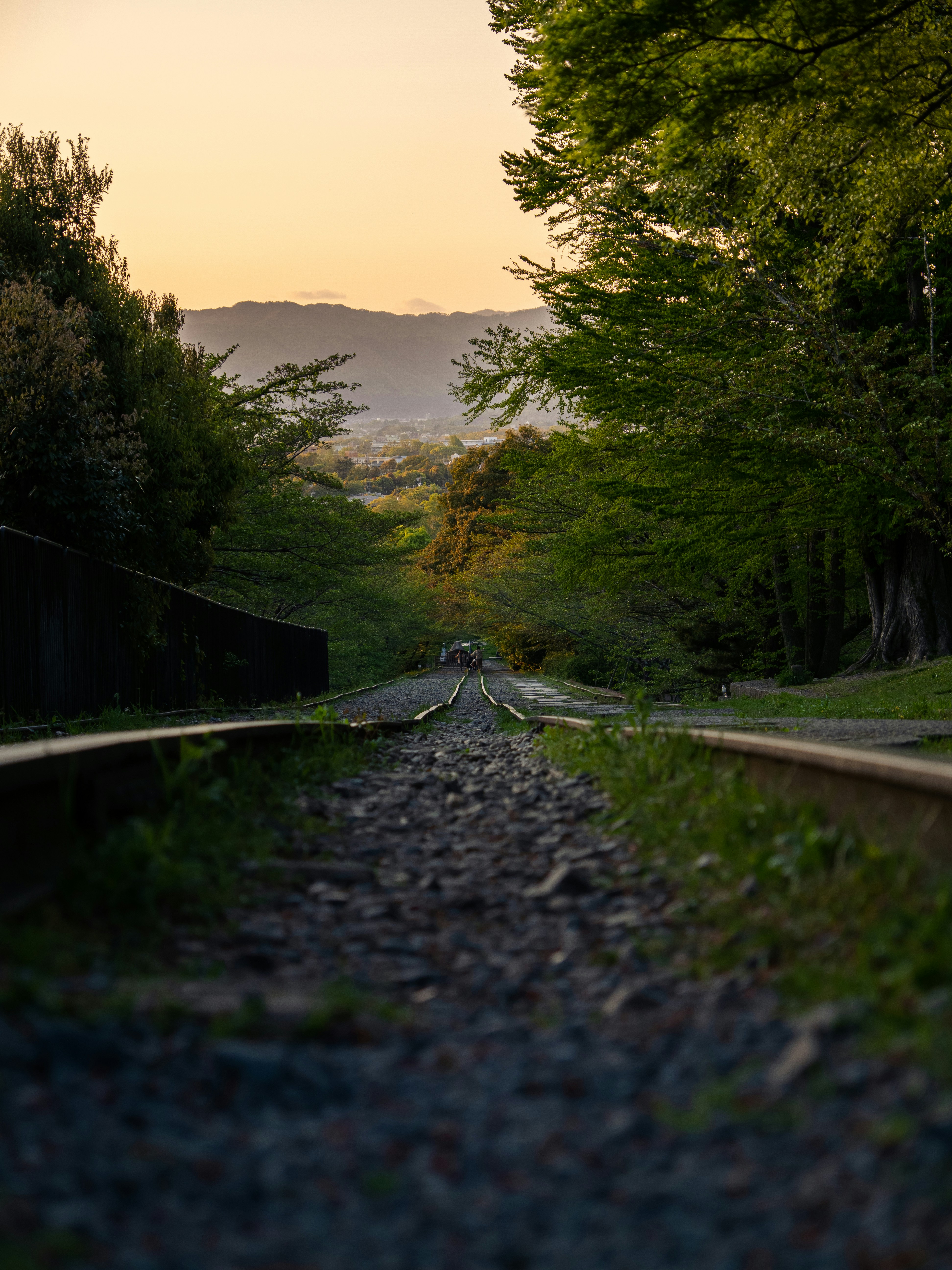 Photo by shellingfordyu