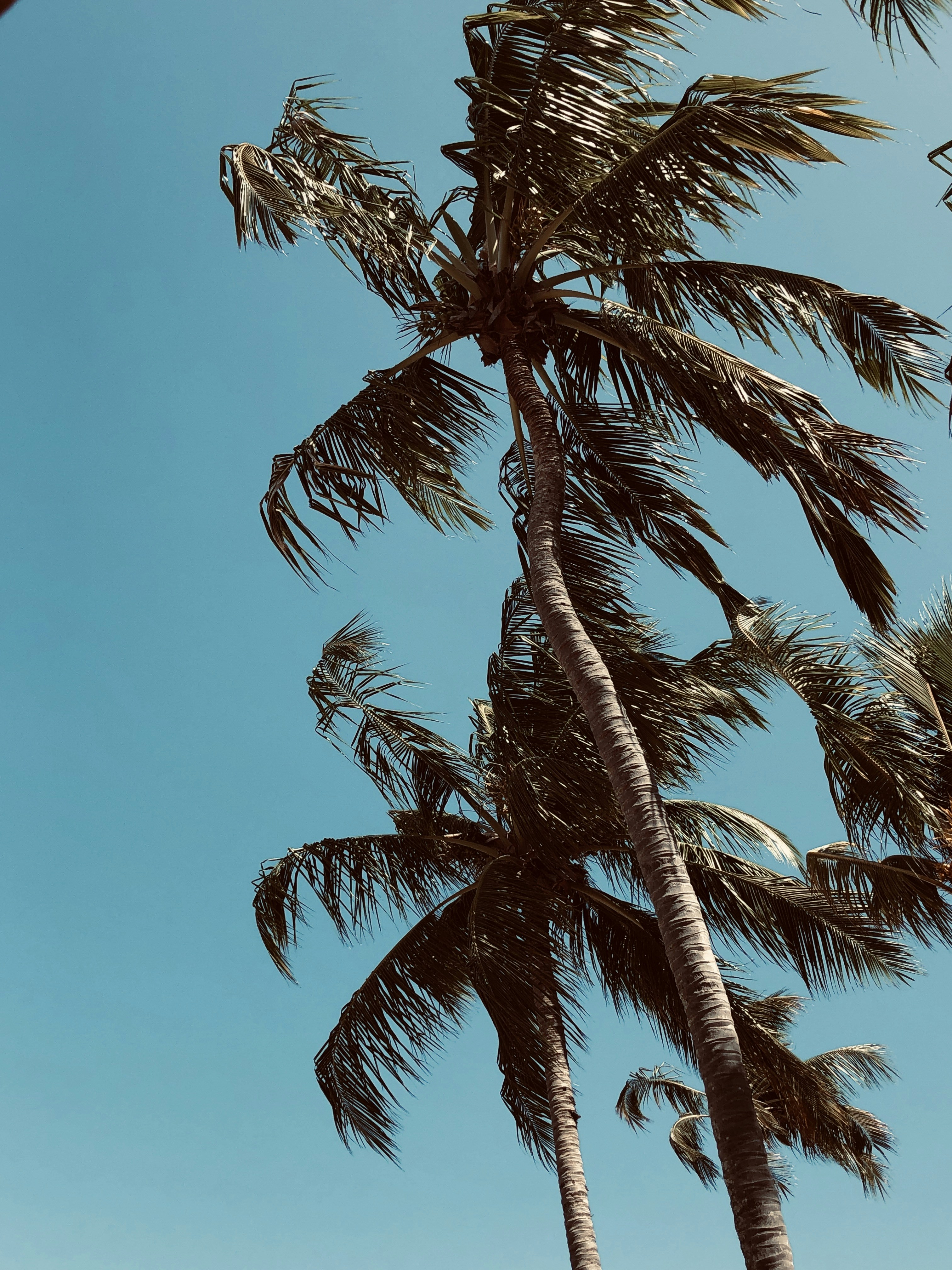 Photo by opablofortes