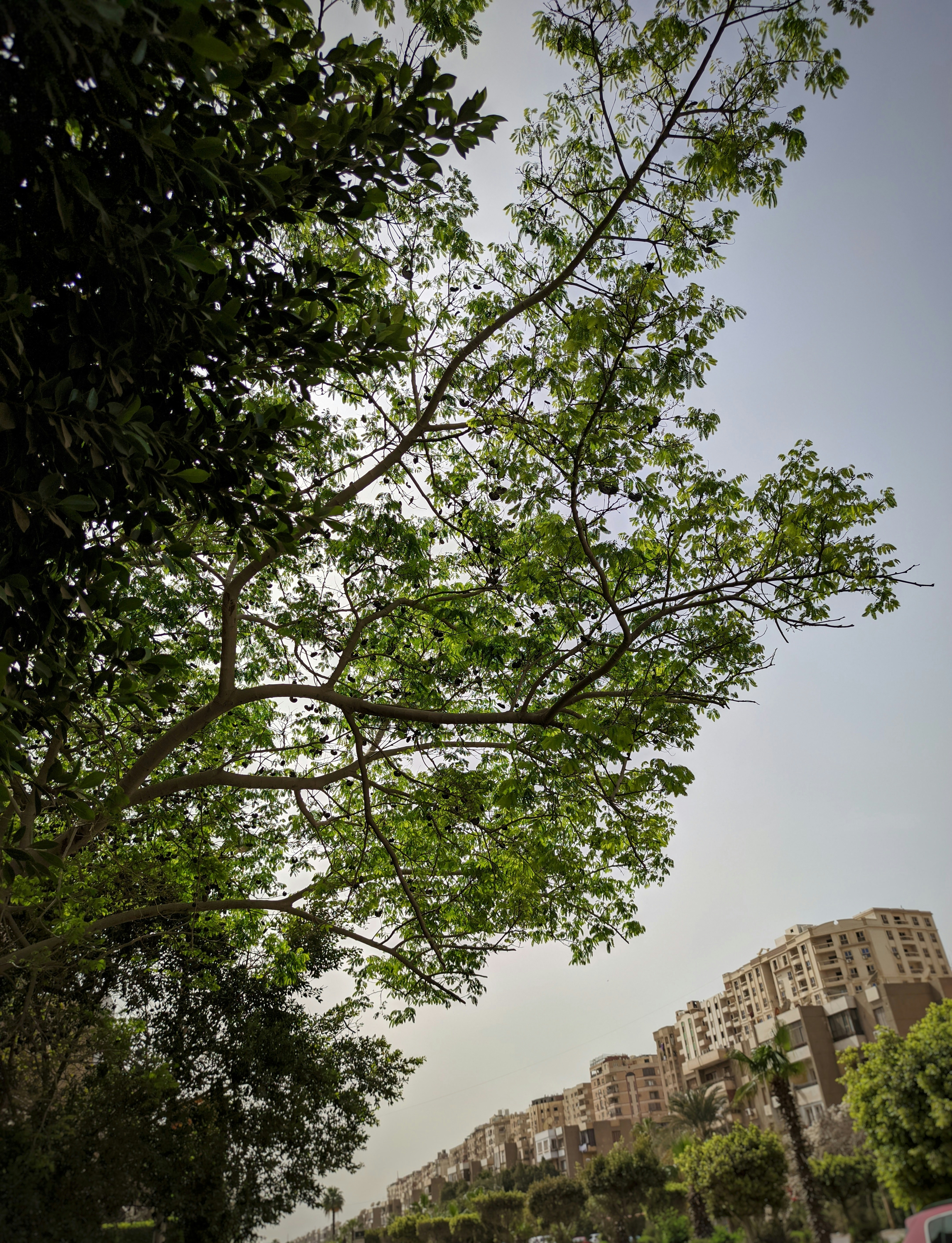 Photo by kekomhgad