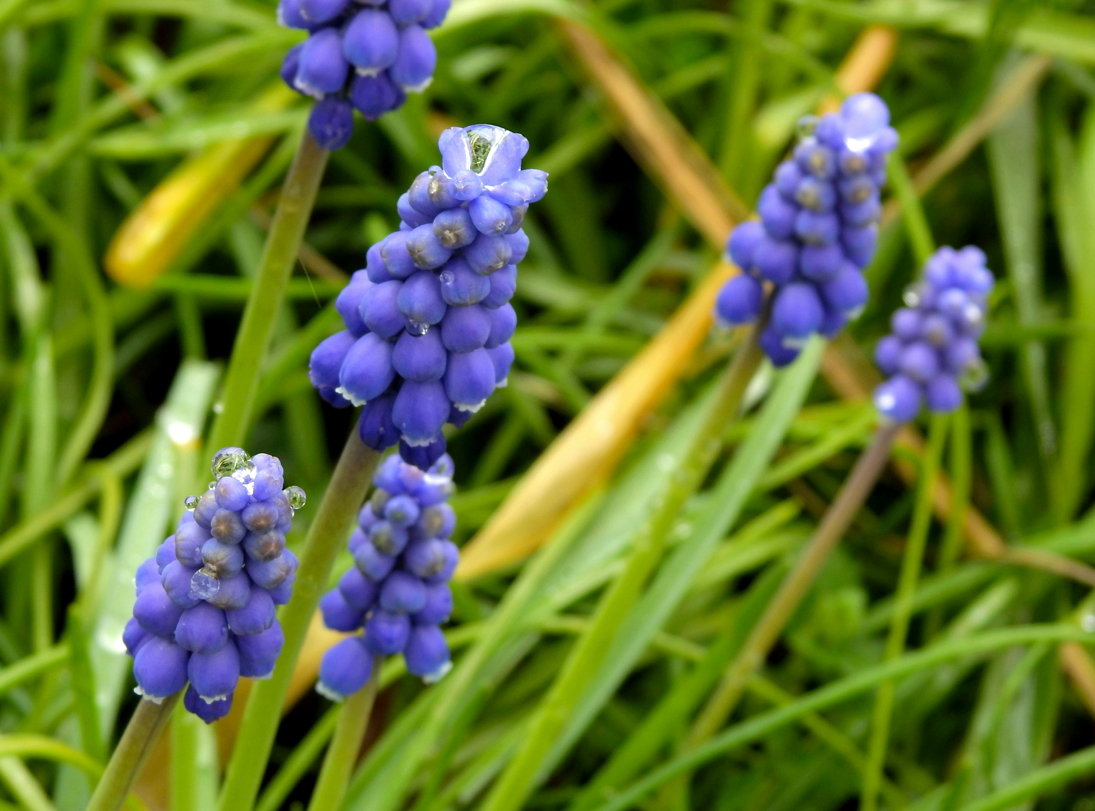 Photo by artemisdesign