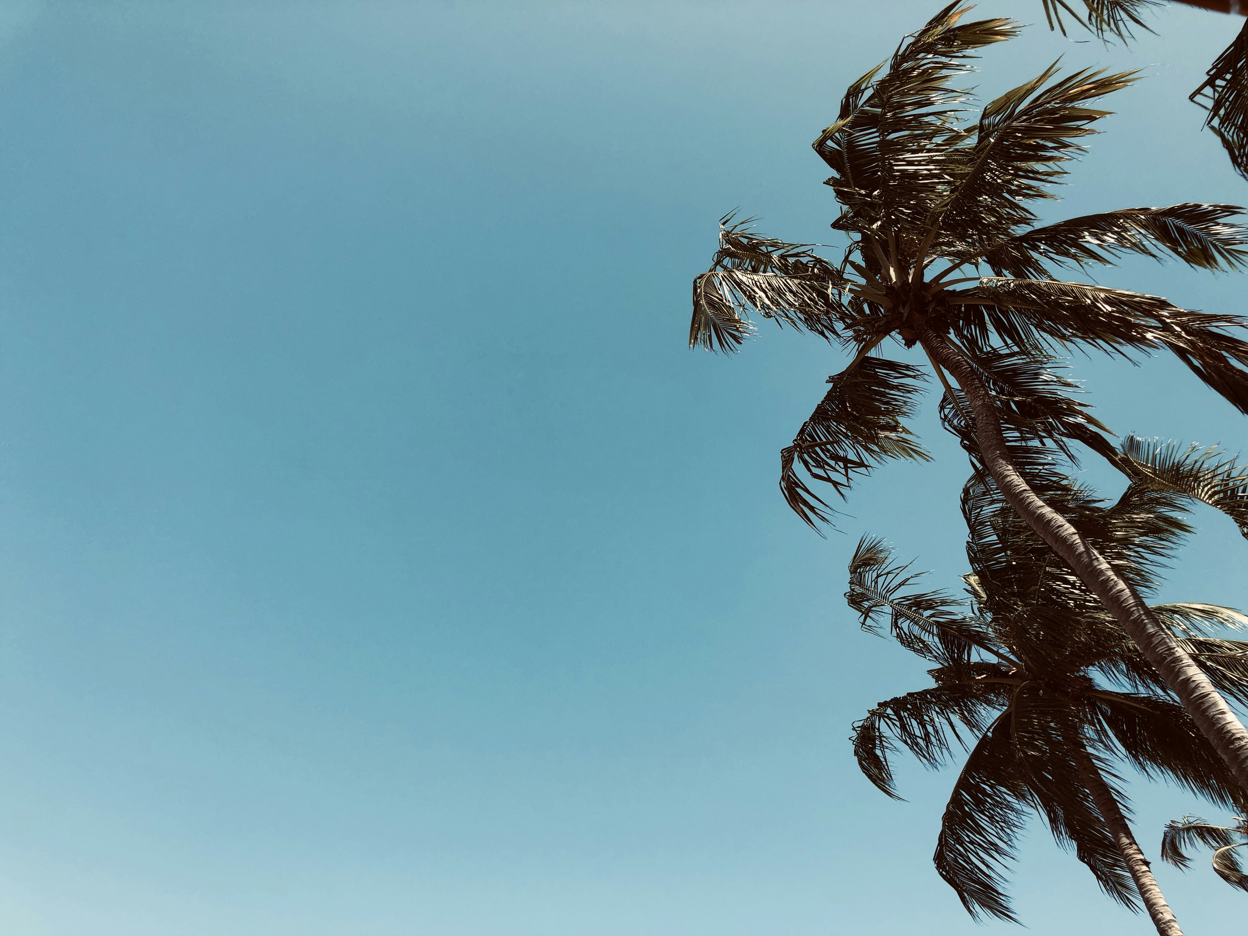 Photo by opablofortes