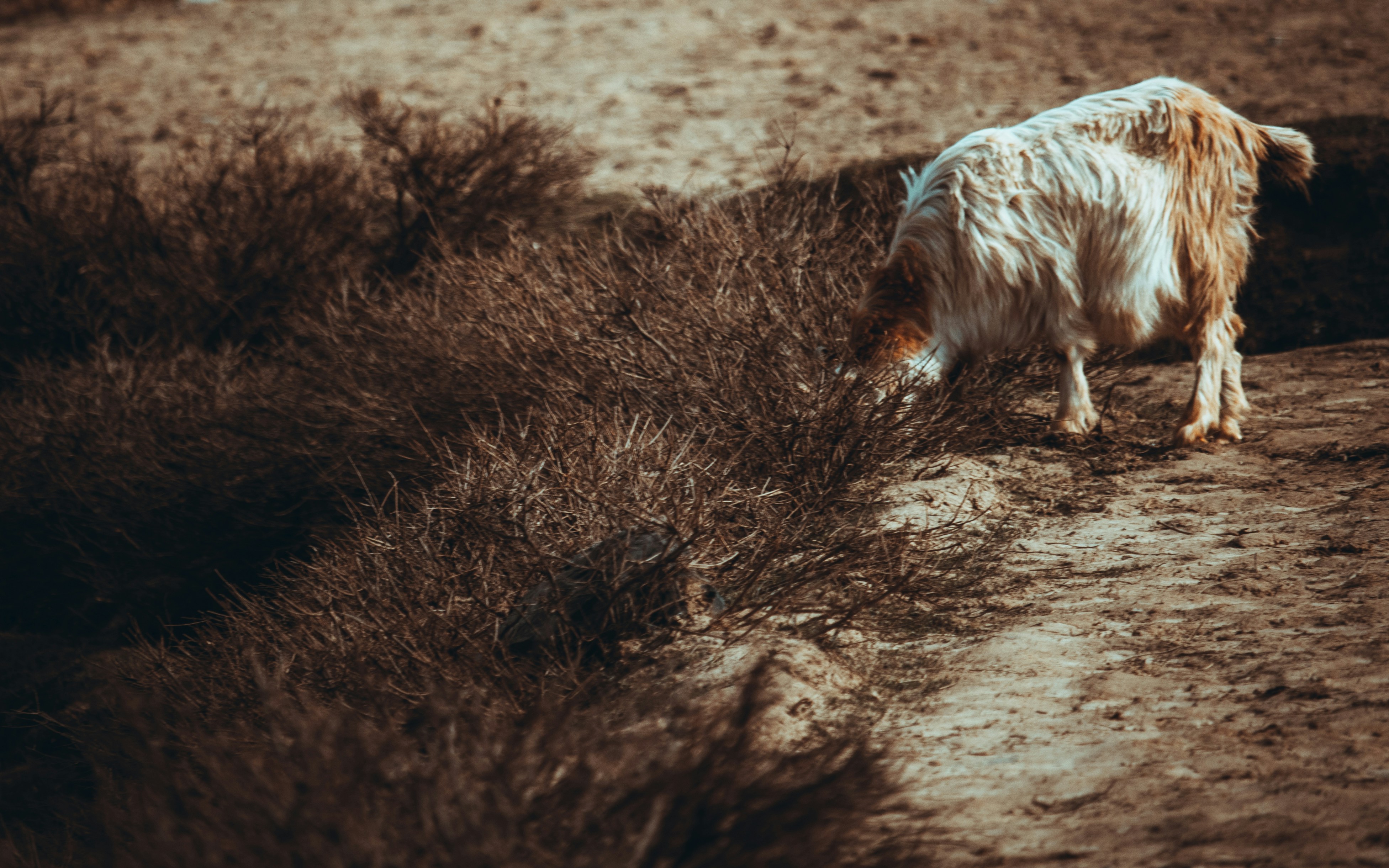 Photo by beingfarooq247365