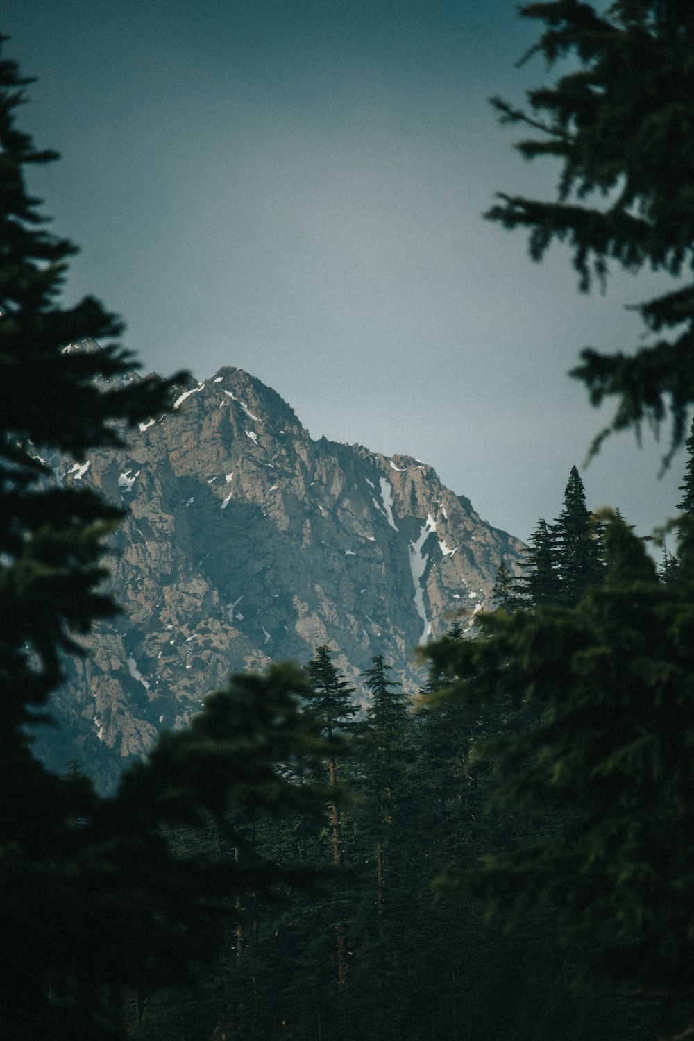 a view of a mountain through some trees