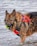 A large, long-haired dog is wading through water, wearing a bright red life vest. The dog holds a green tennis ball in its mouth, and its fur appears wet, suggesting it has been playing in the water.