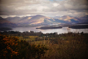 The Quiet Beauty of Loch Lomond