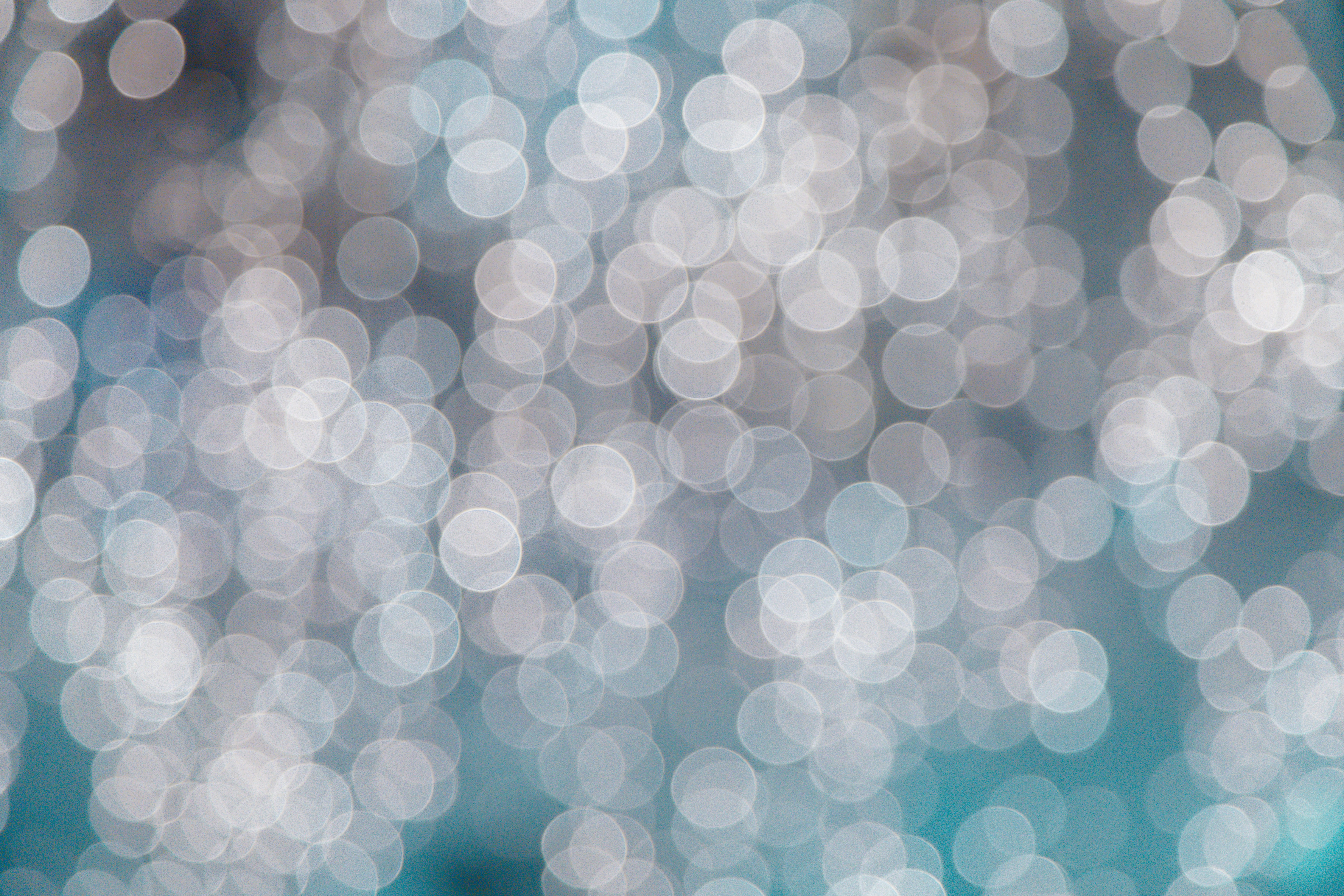 Photo by jeffersonsees