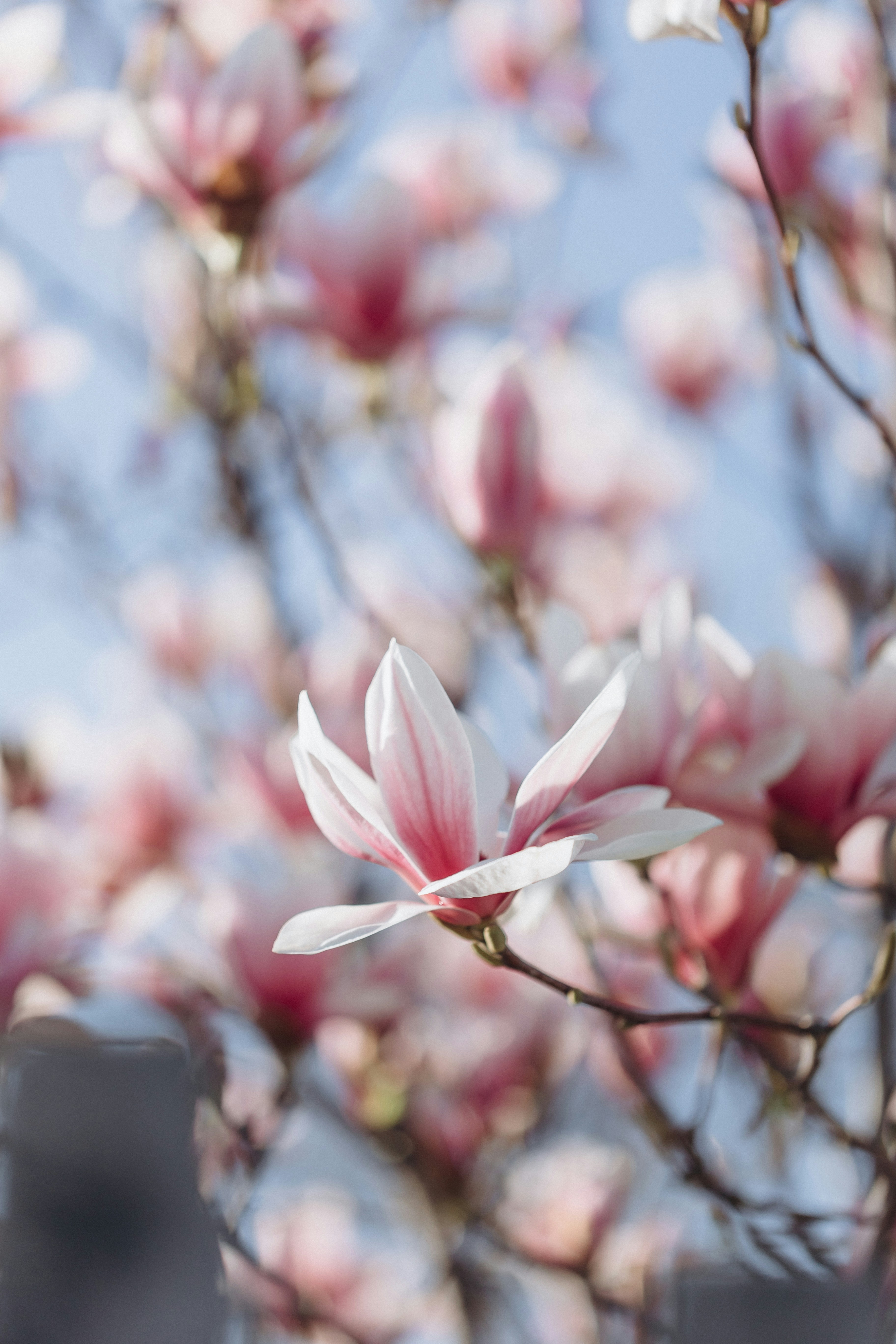 Photo by raspopovamarisha