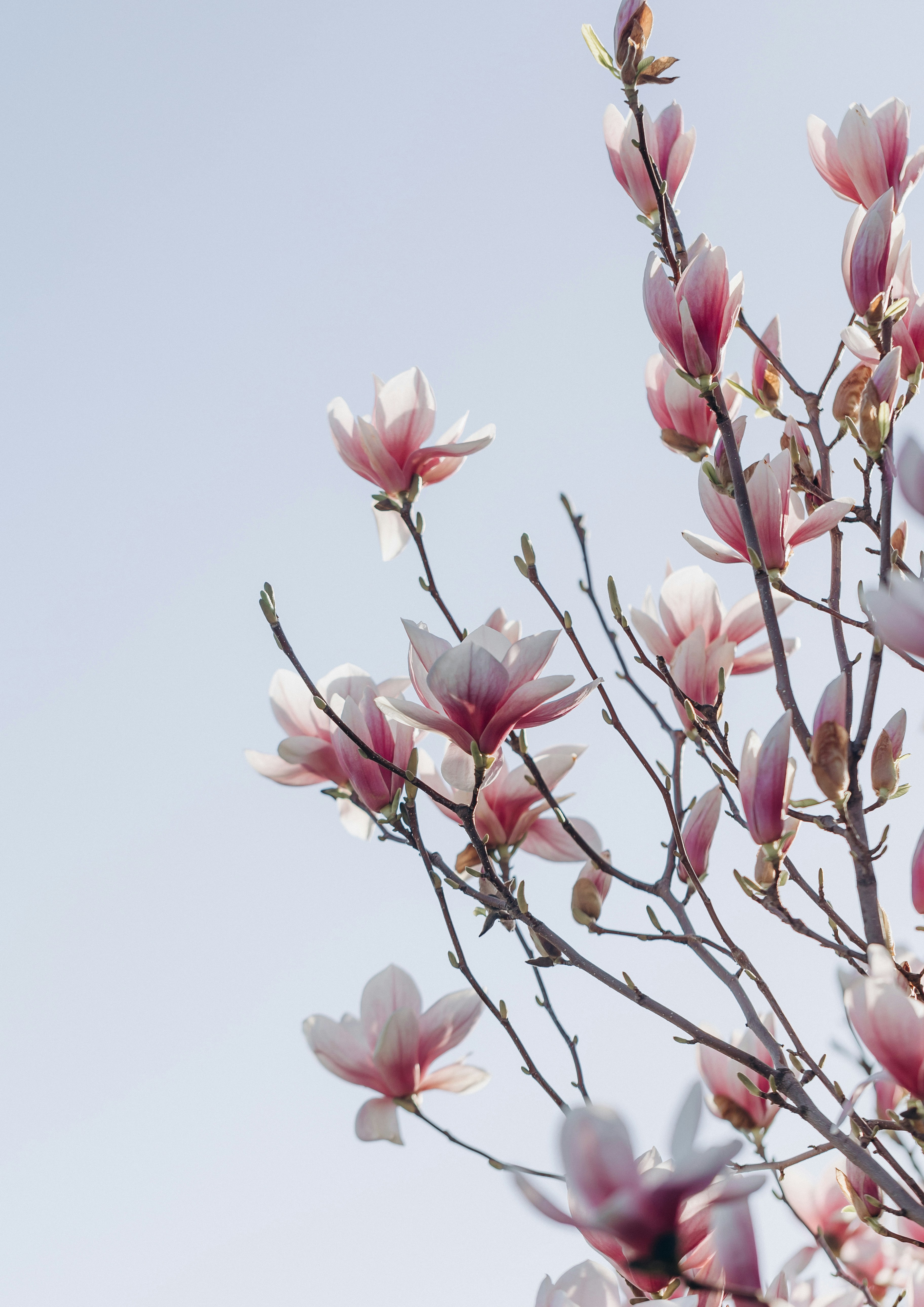 Photo by raspopovamarisha