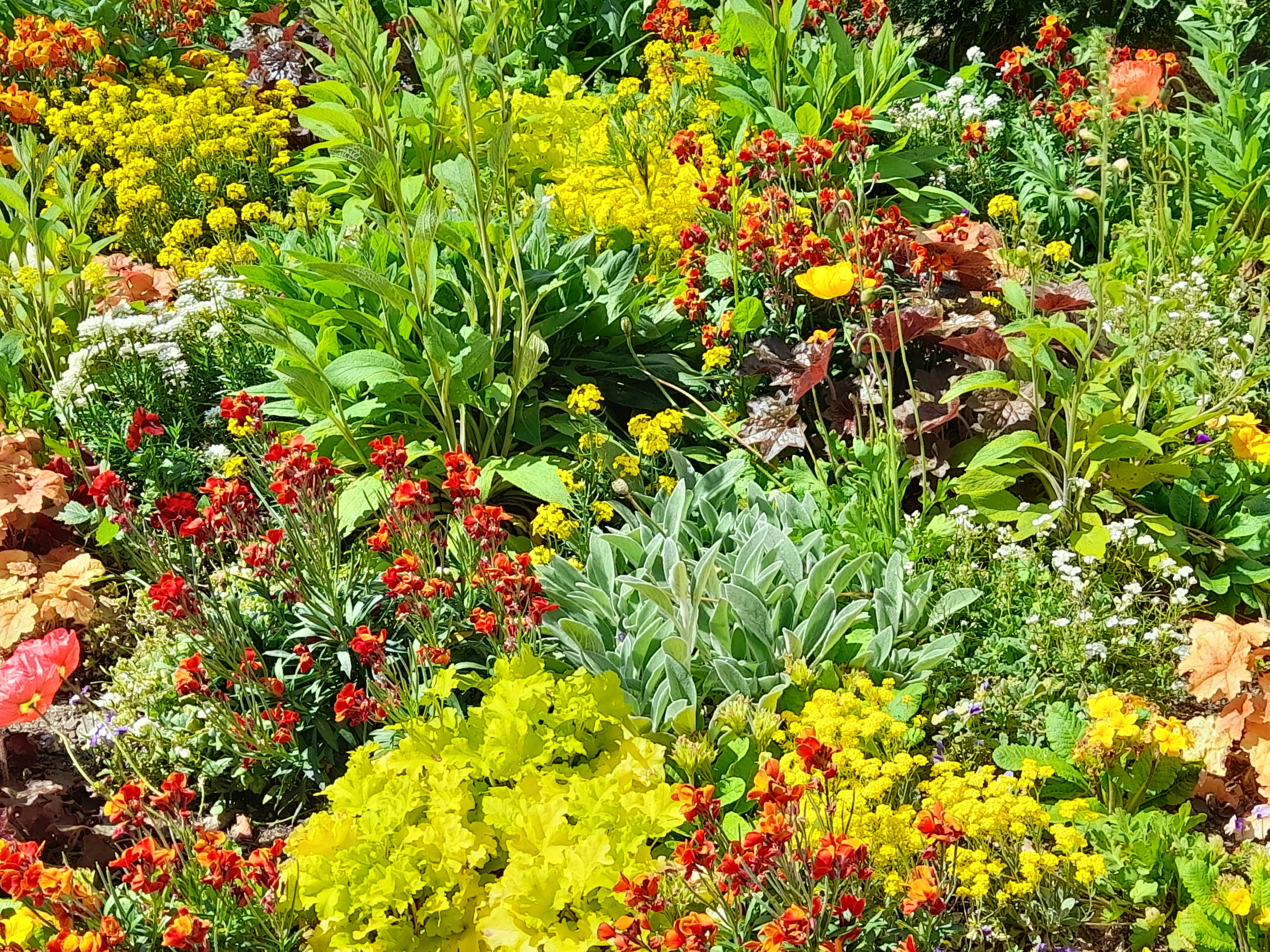 a garden filled with lots of different colored flowers