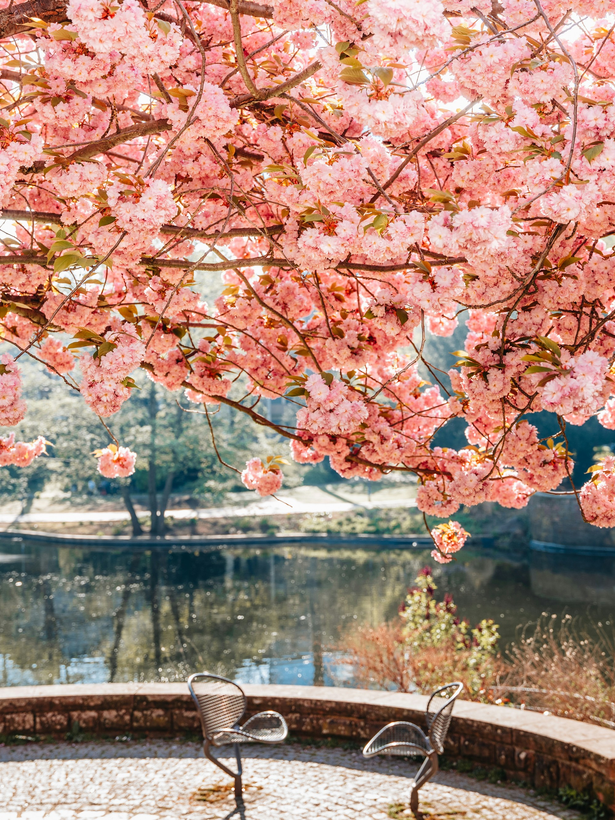 Photo by masoodaslami