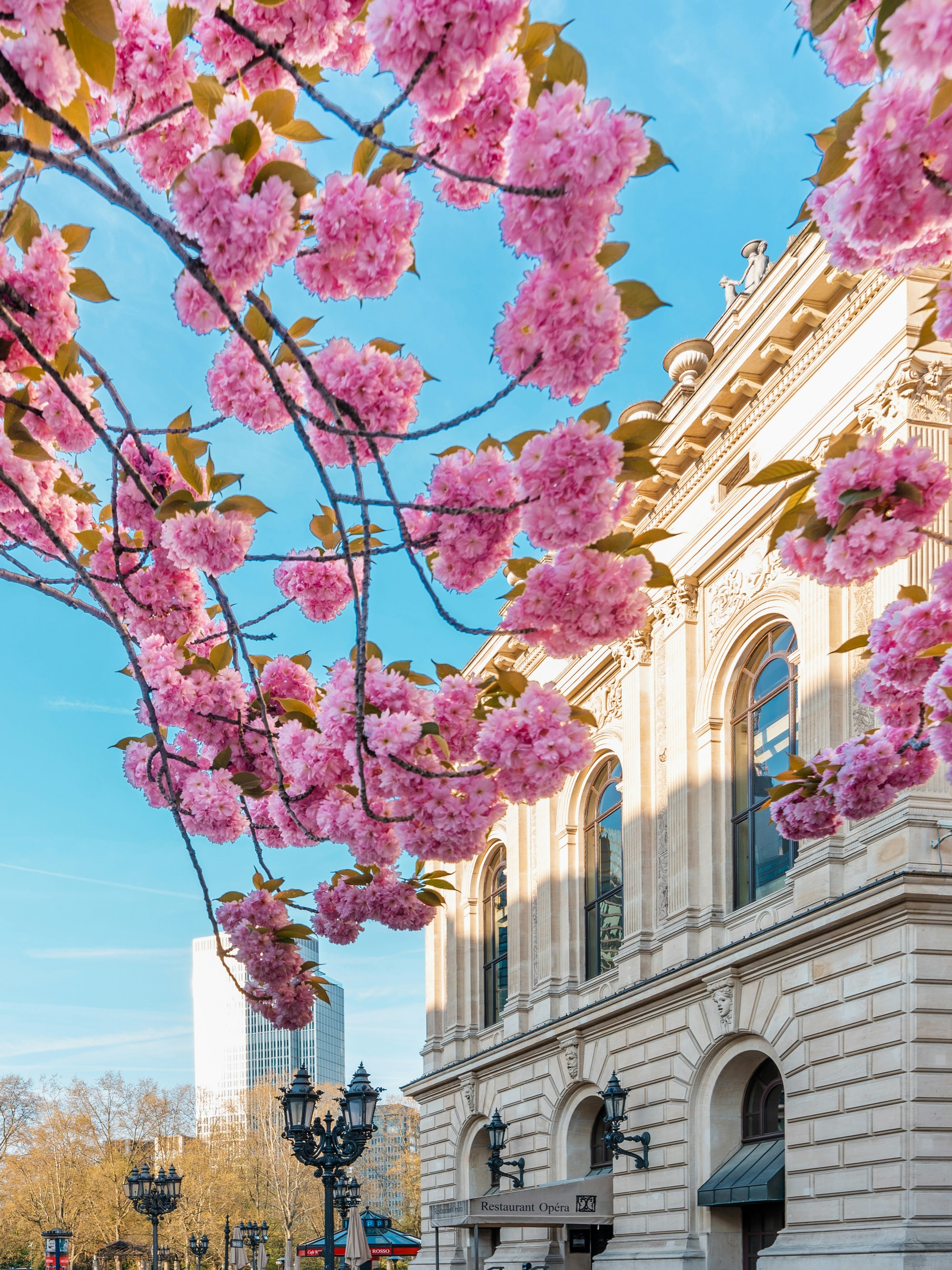 Photo by masoodaslami