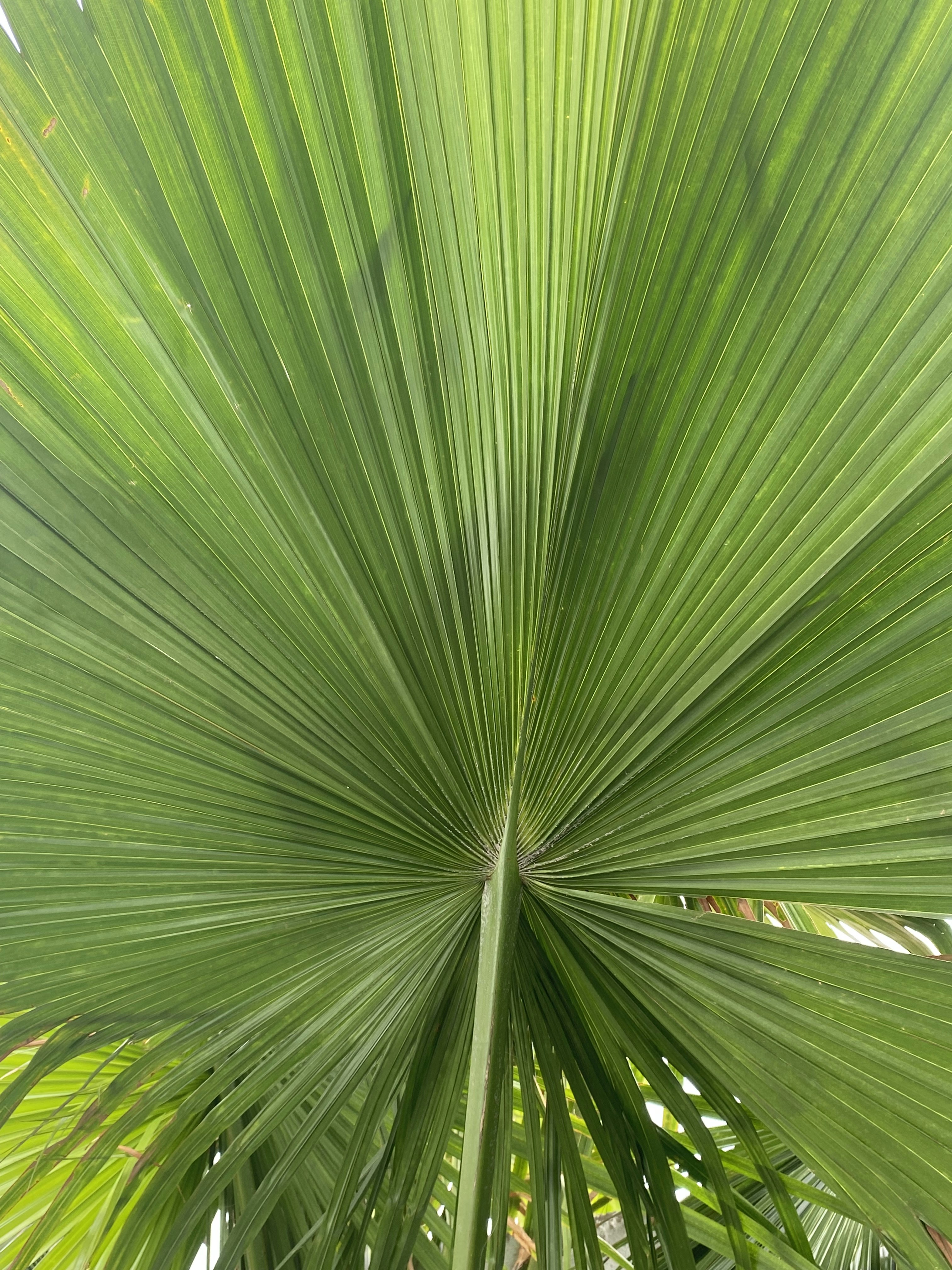 Photo by truelightofel