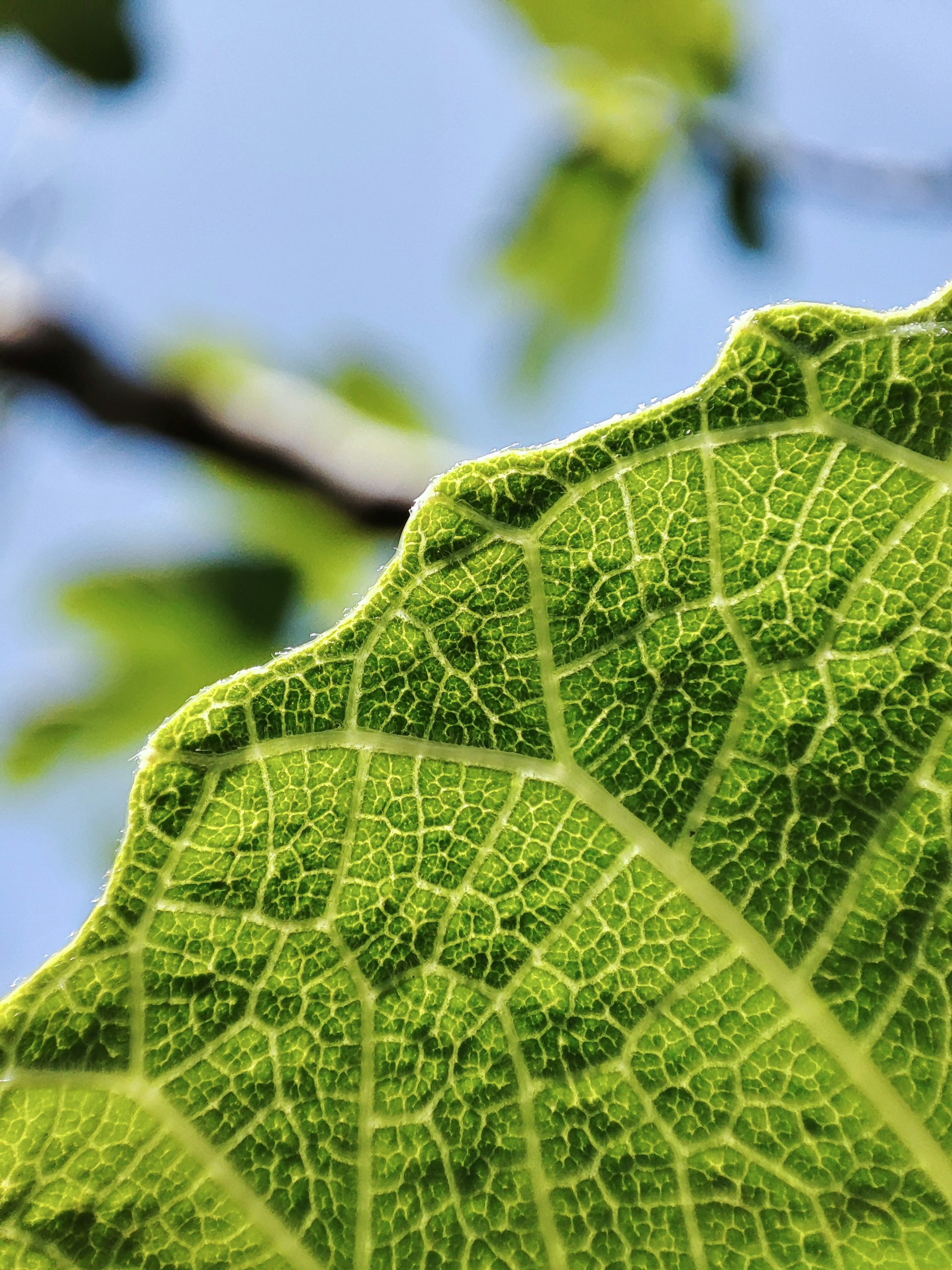 Photo by diogo0liveira14