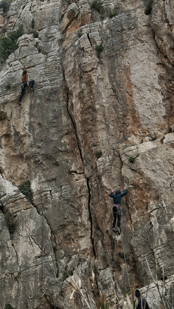 Stage Terrain d'Aventure