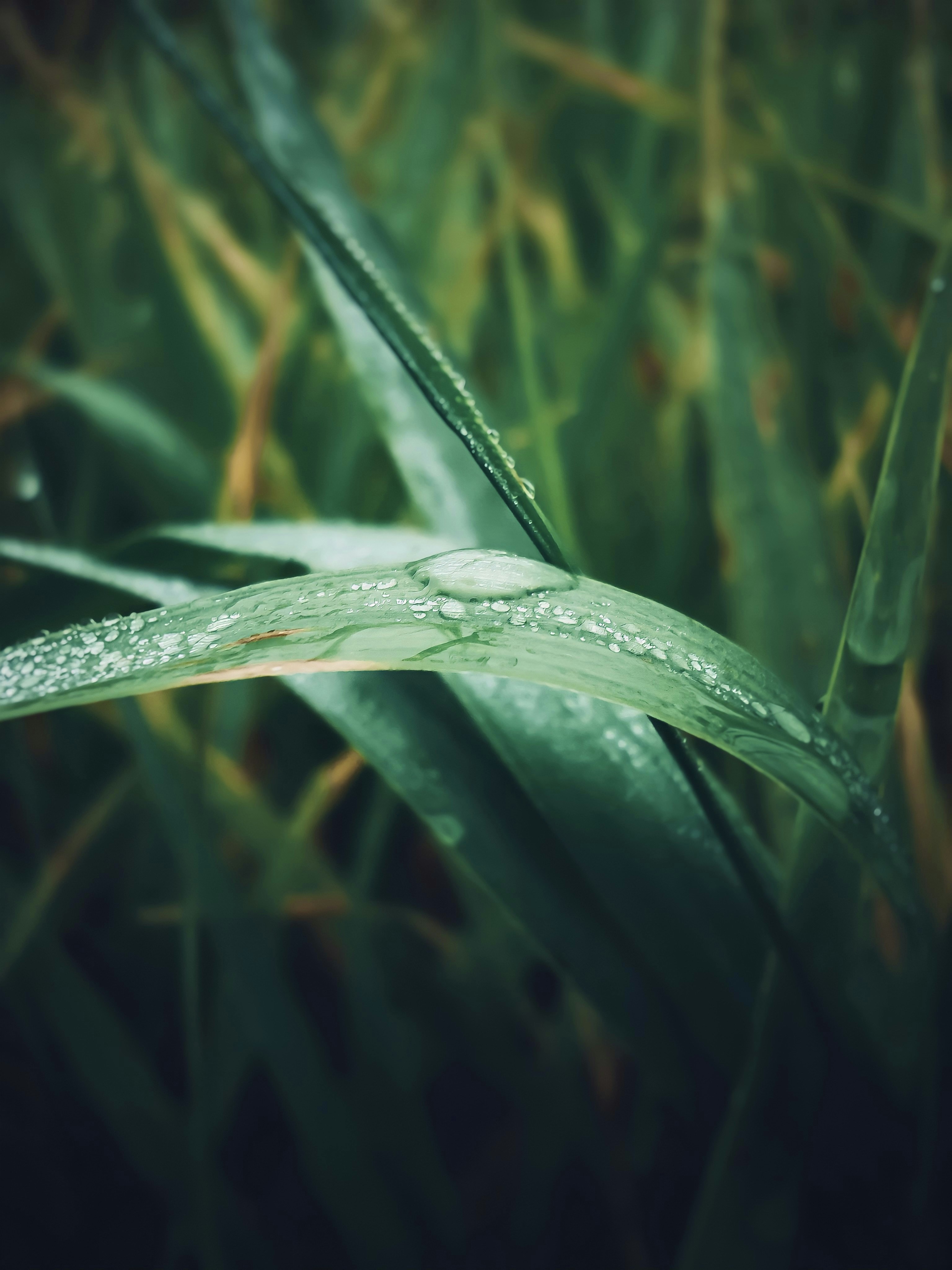 Photo by eugene_golovesov