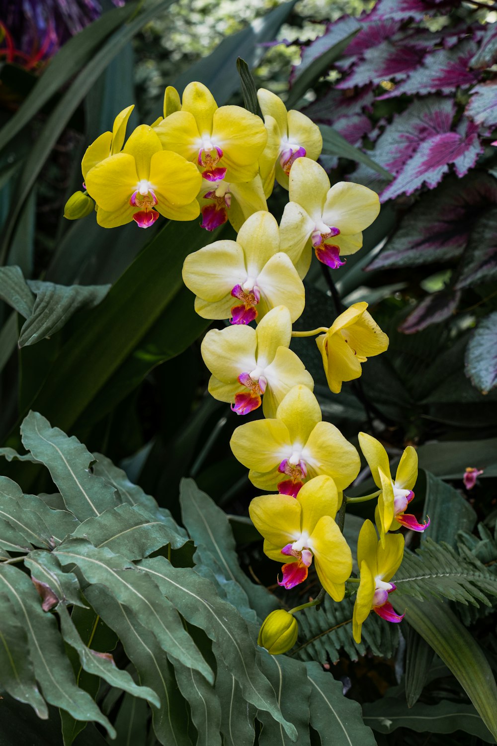 a bunch of yellow and pink flowers in a garden