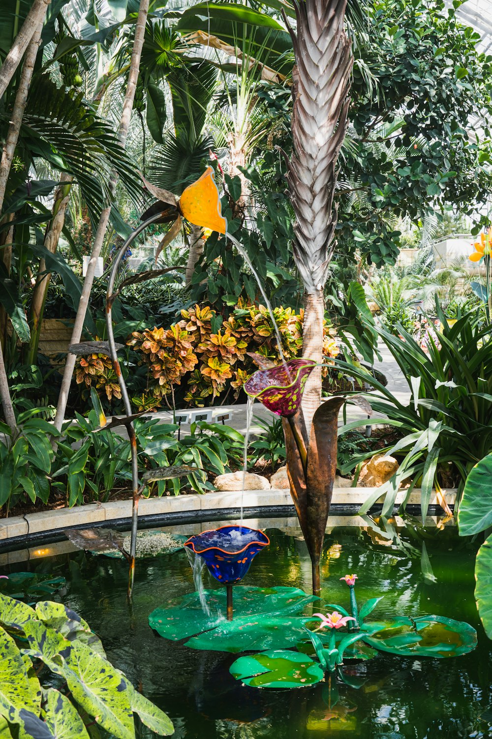 a pond surrounded by lots of plants and trees