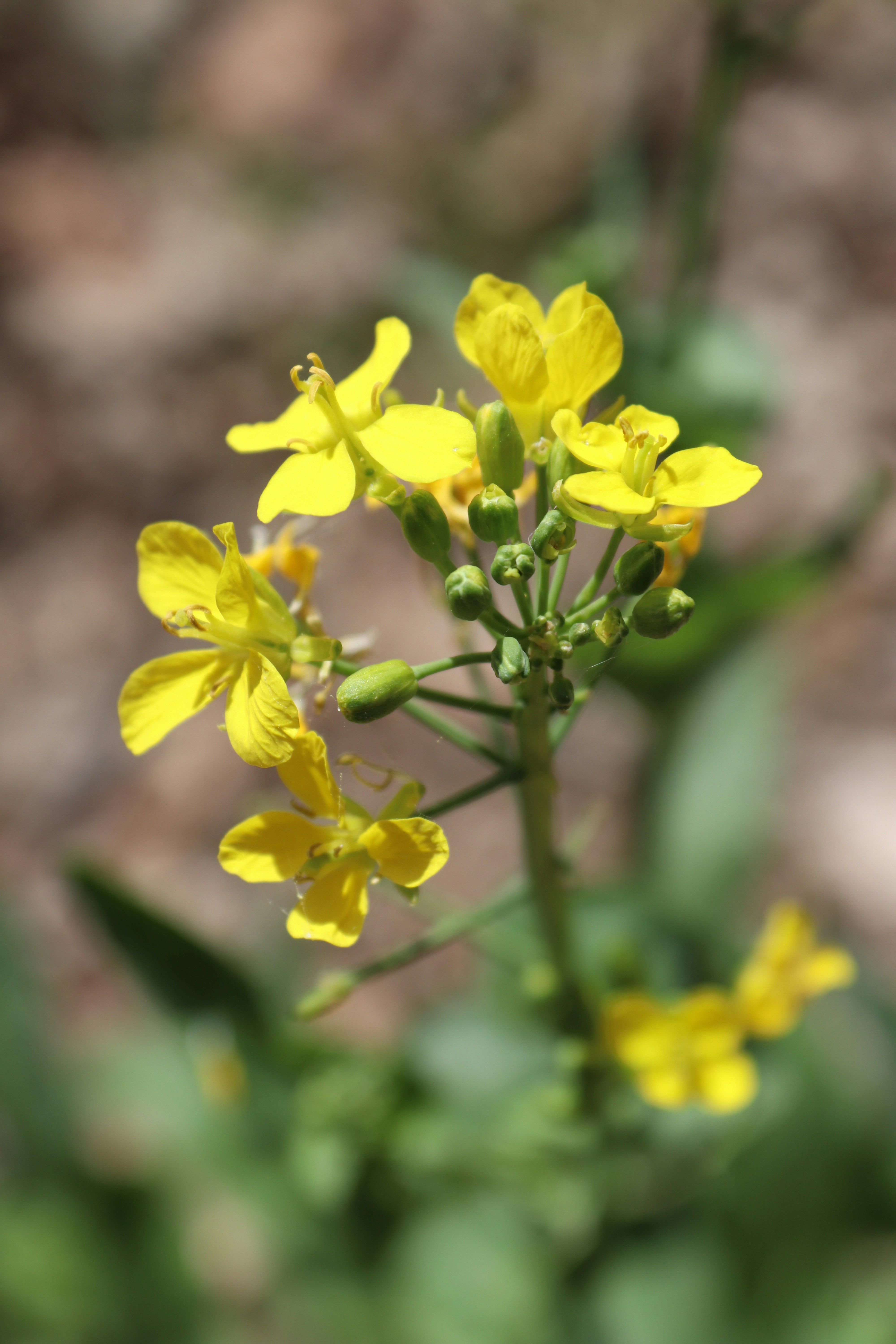 Photo by fajschreurs