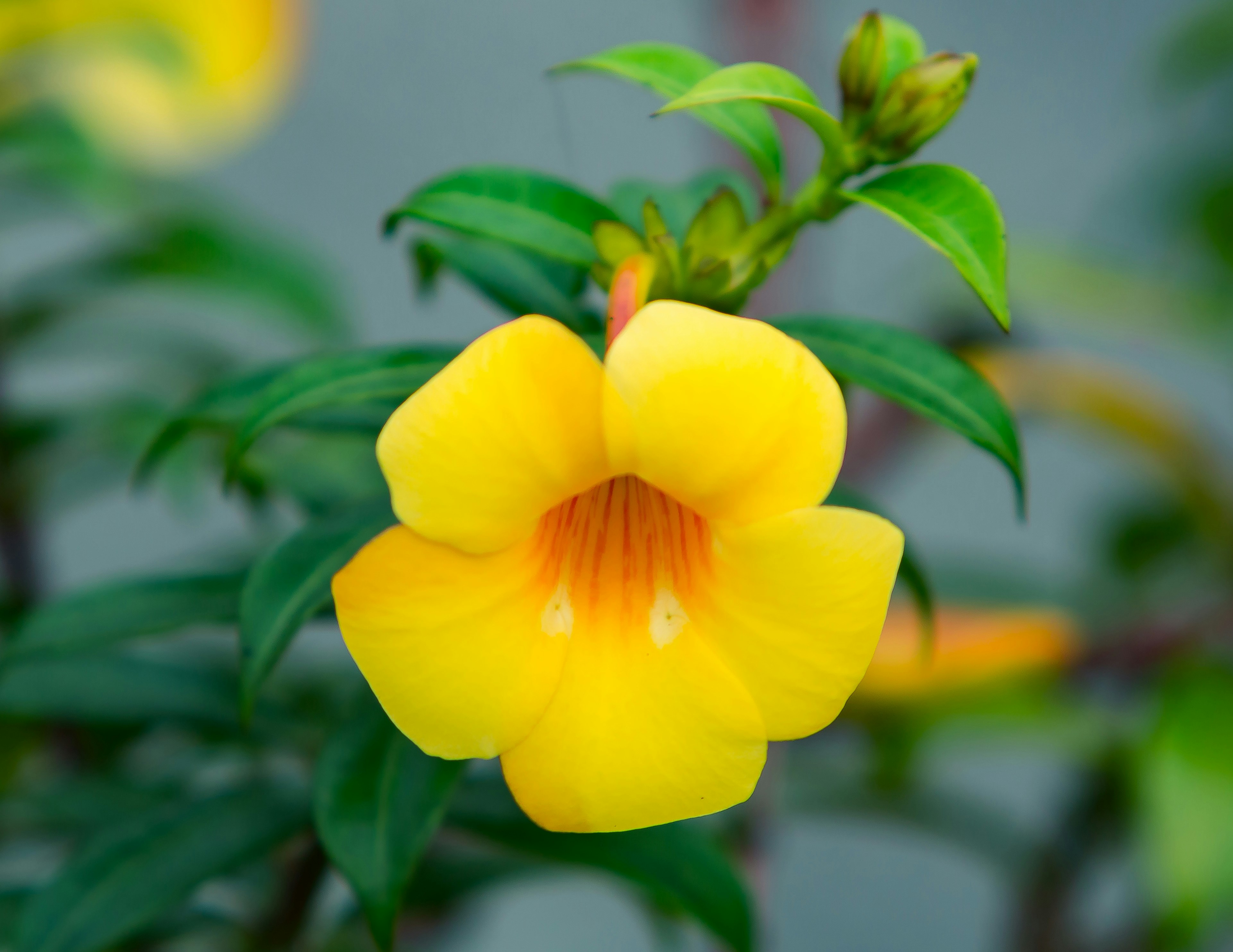 Photo by ladyufoma001