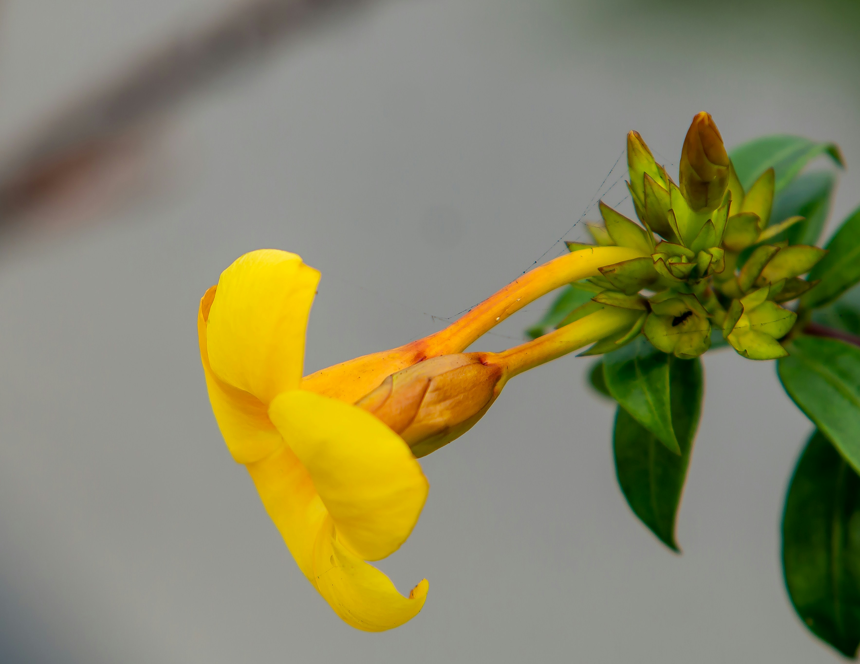 Photo by ladyufoma001