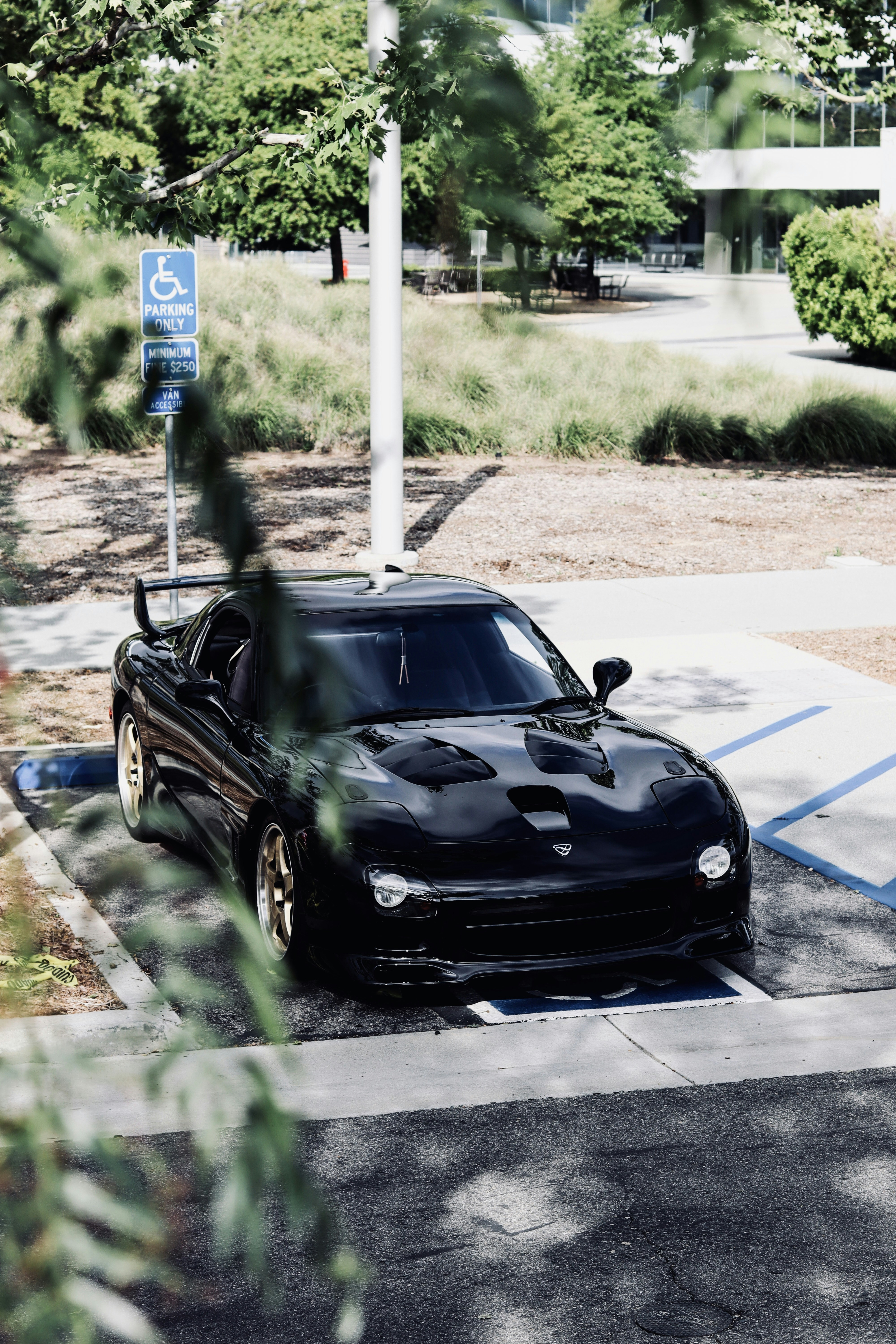 Photo by alxlfilm