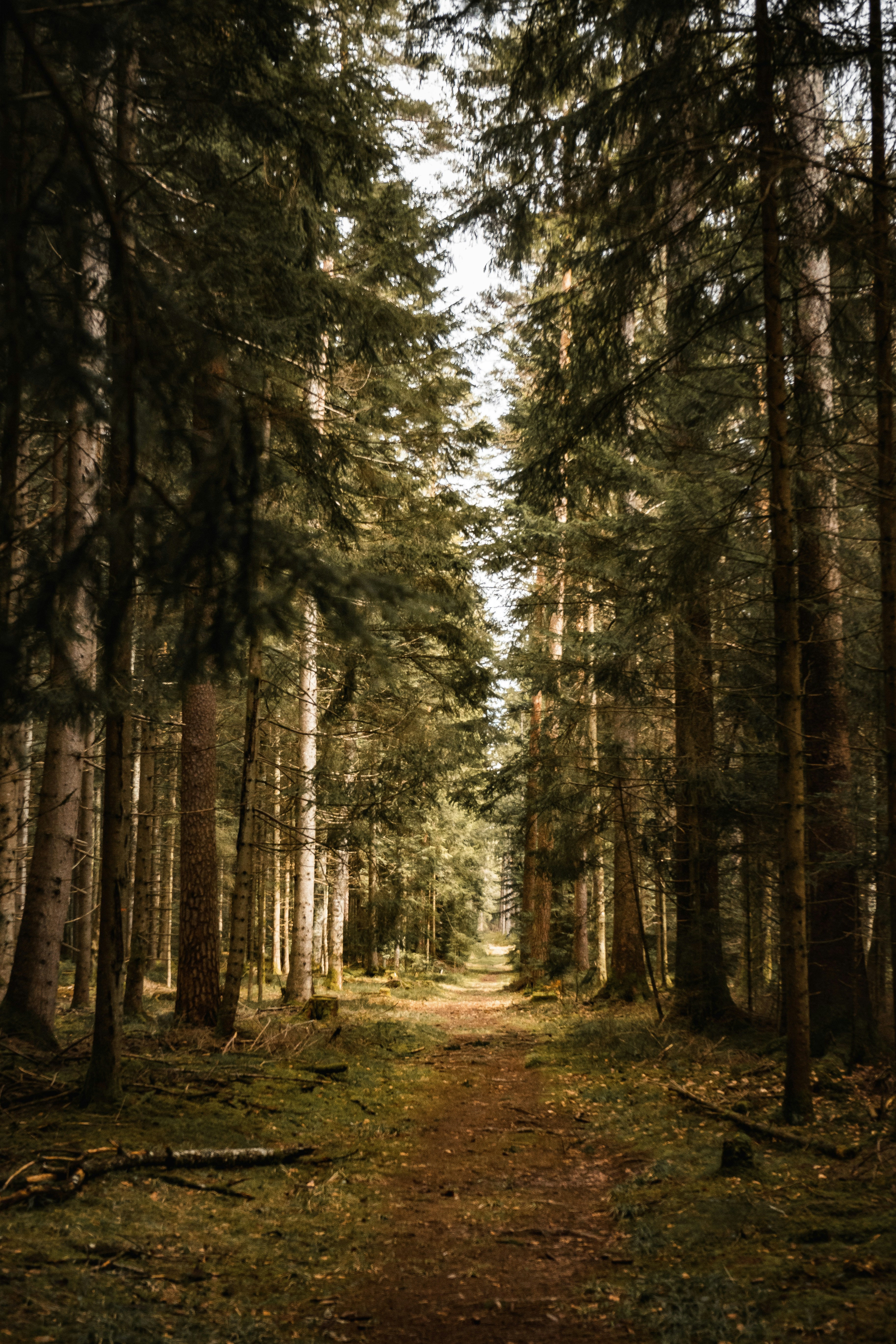 Photo by benjaminmerkle