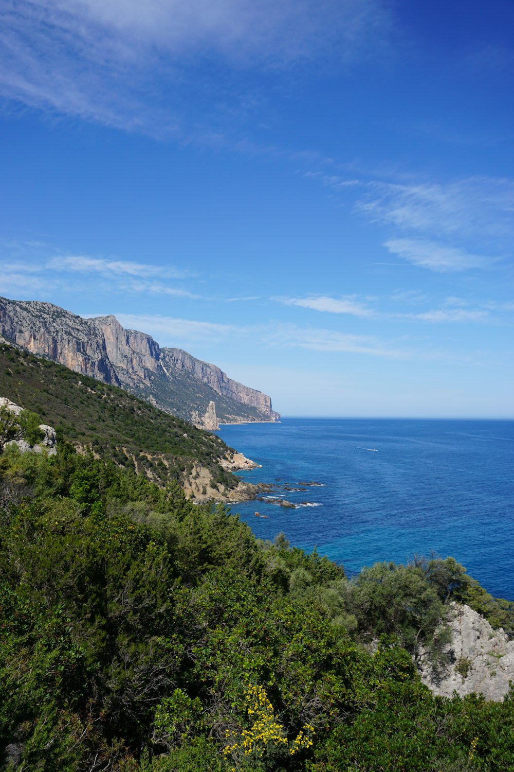 a scenic view of the ocean and mountains