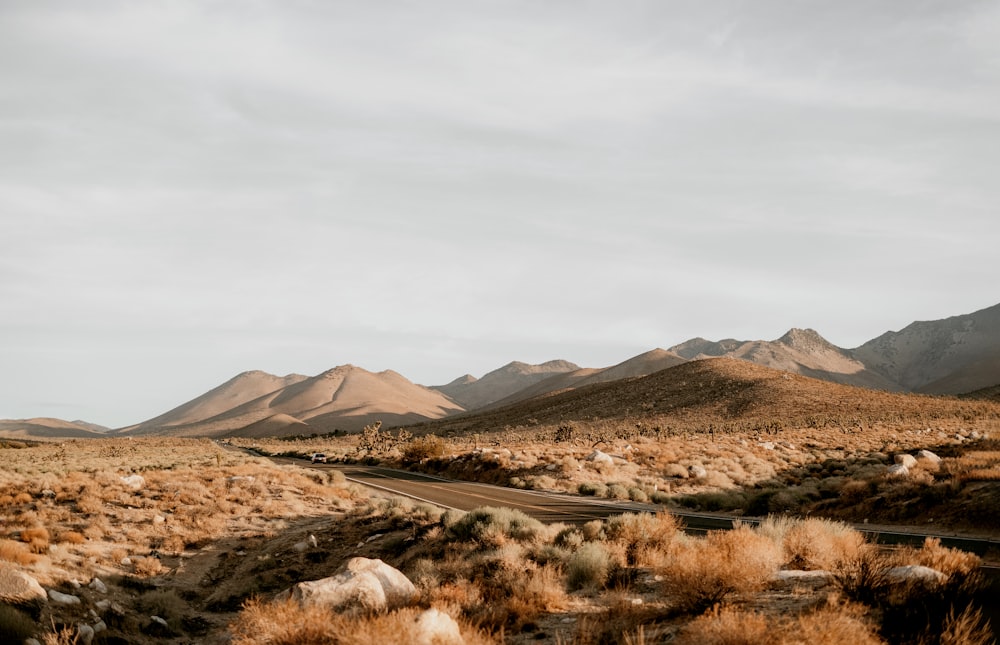 a dirt road in the middle of a desert