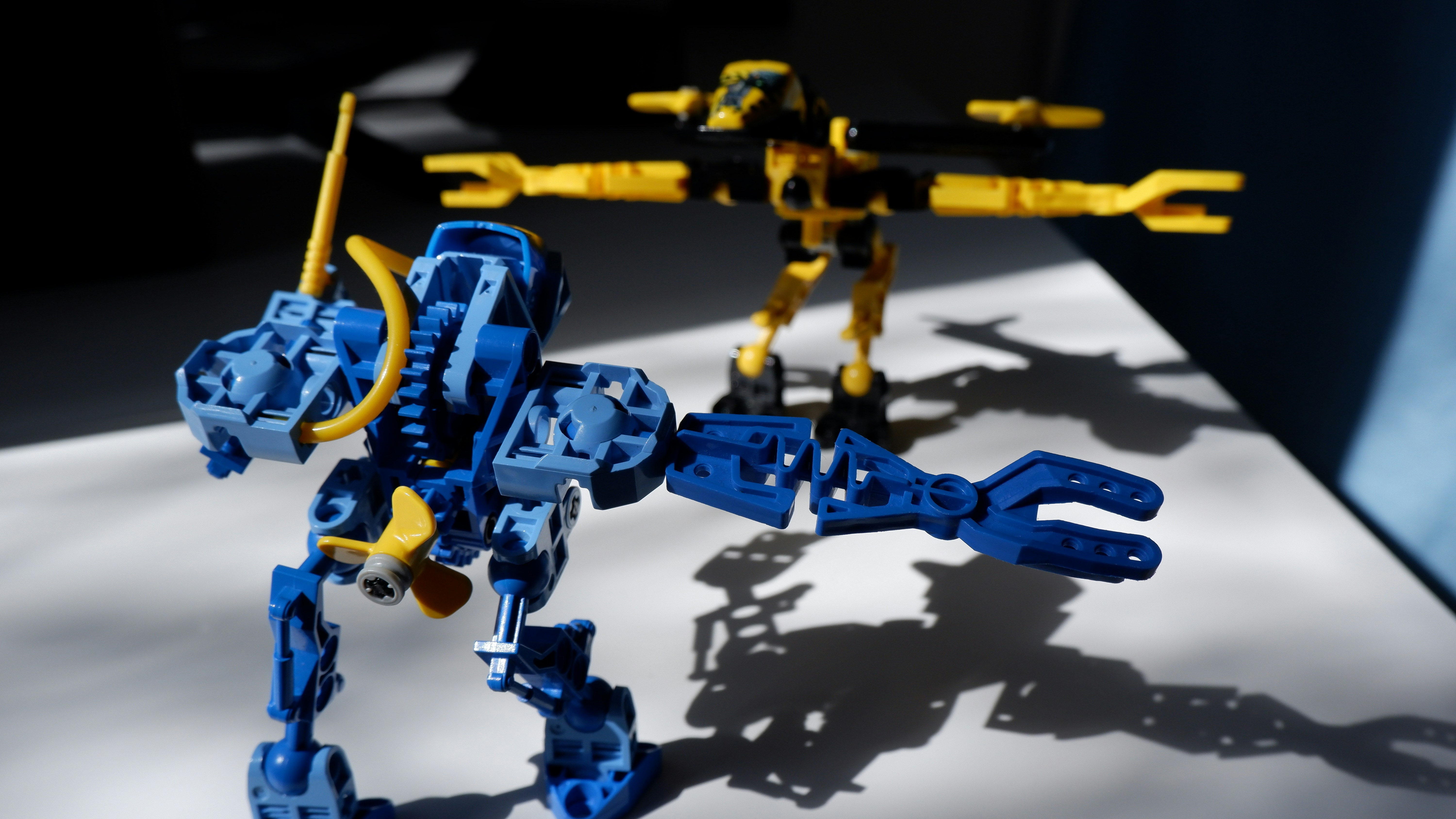 Photo by azzurobudgie