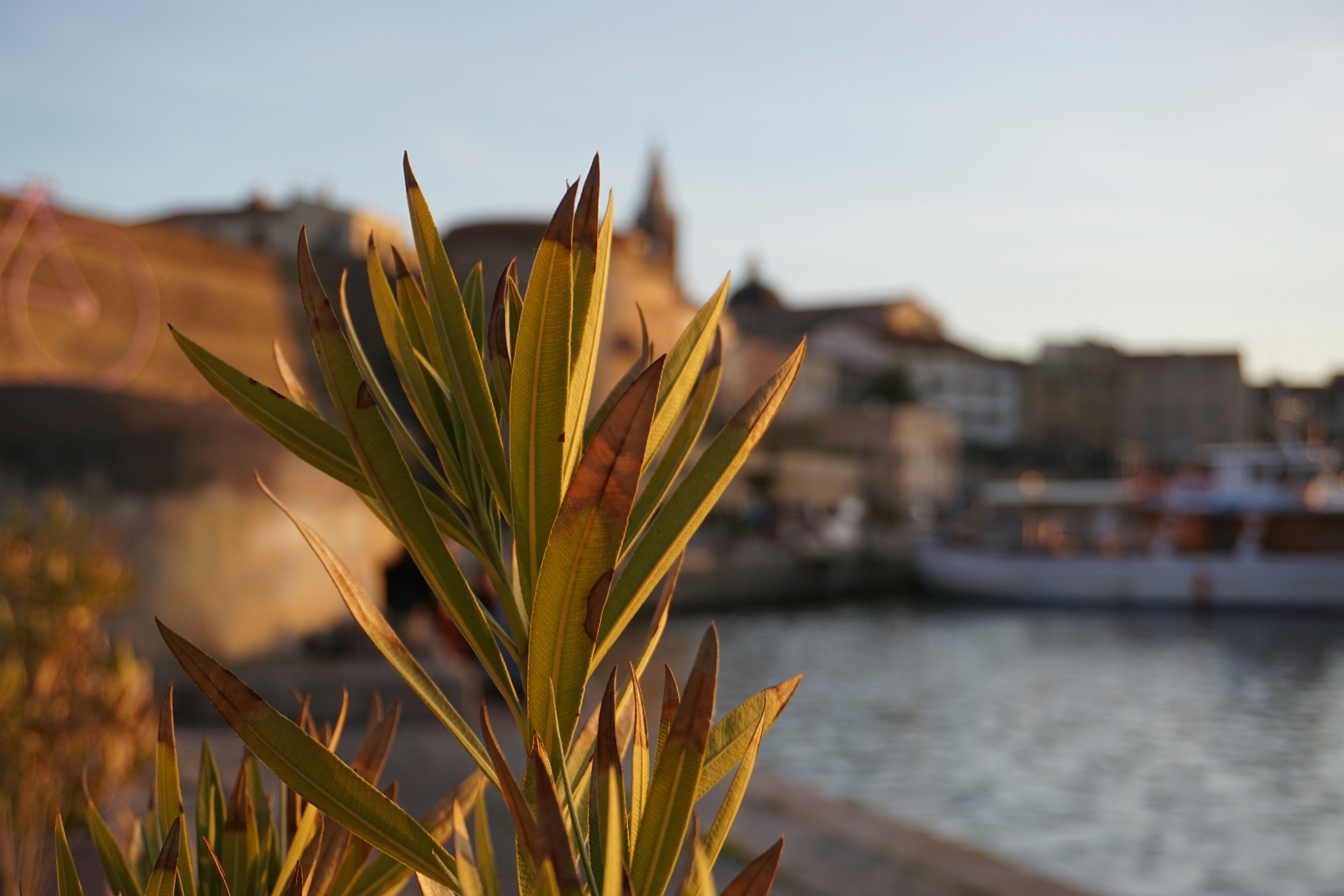 Una vista de un cuerpo de agua con un bote en el fondo
