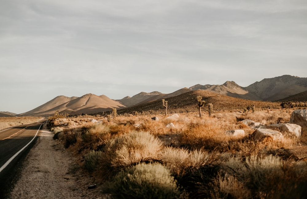 a dirt road in the middle of a desert