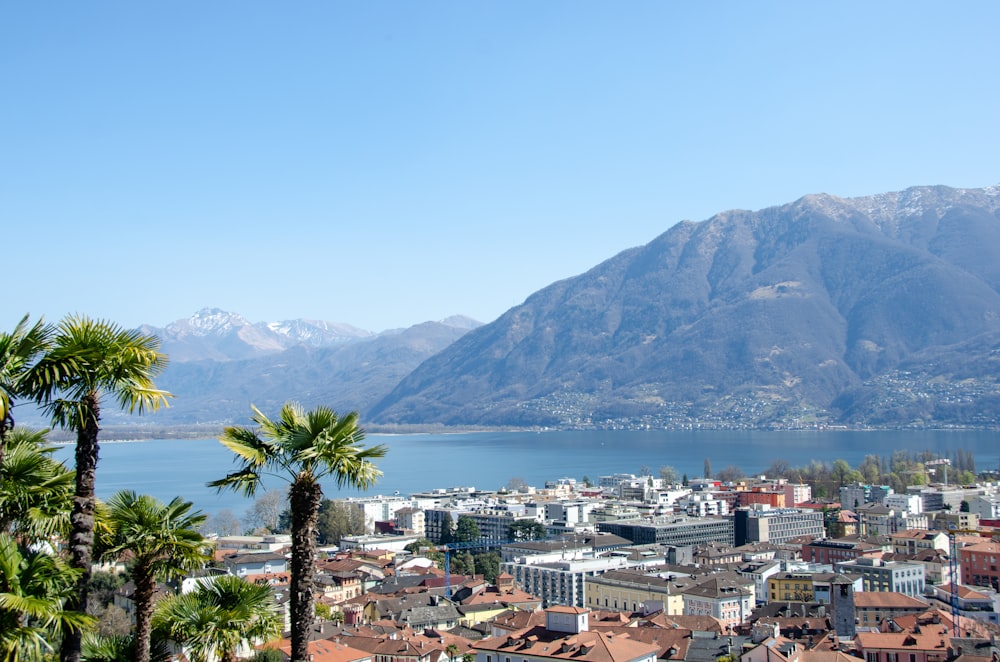 a view of a city with mountains in the background