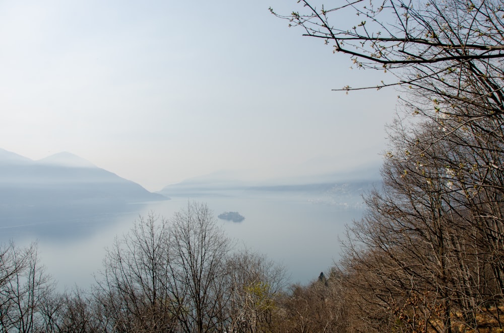 a view of a body of water surrounded by trees