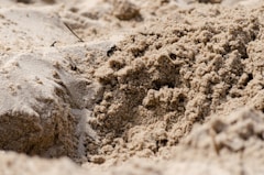 a close up of a pile of sand on a beach