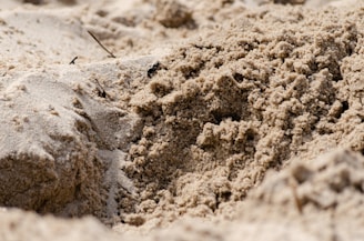 a close up of a pile of sand on a beach