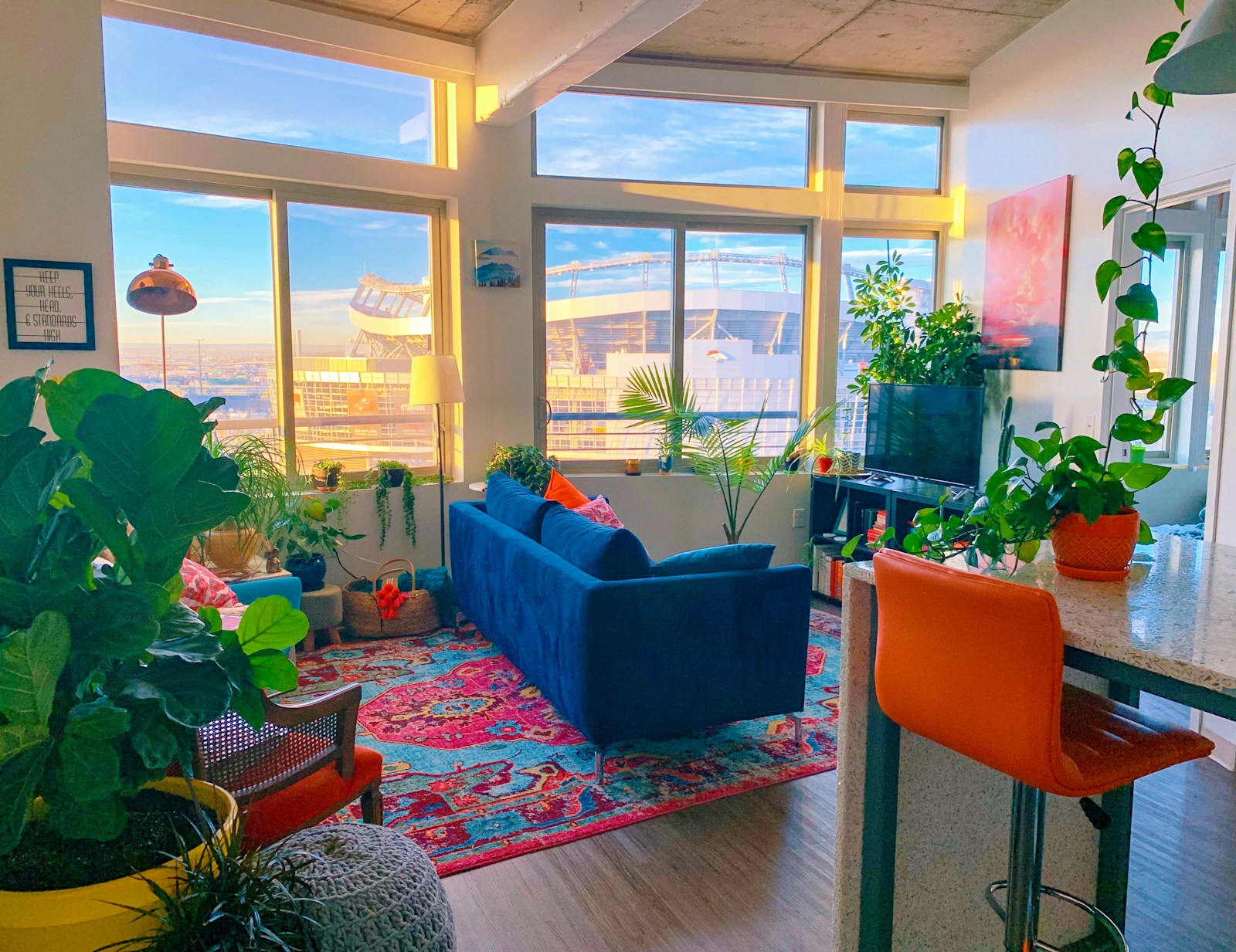 vibrant small apartment living room with blue velvet sofa plants and rug for single woman