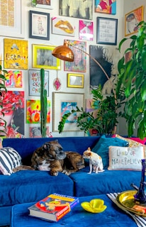 two dogs sitting on a blue couch in a living room