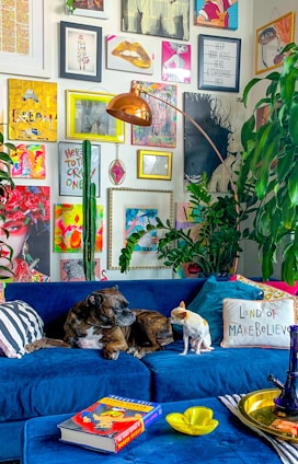 two dogs sitting on a blue couch in a living room
