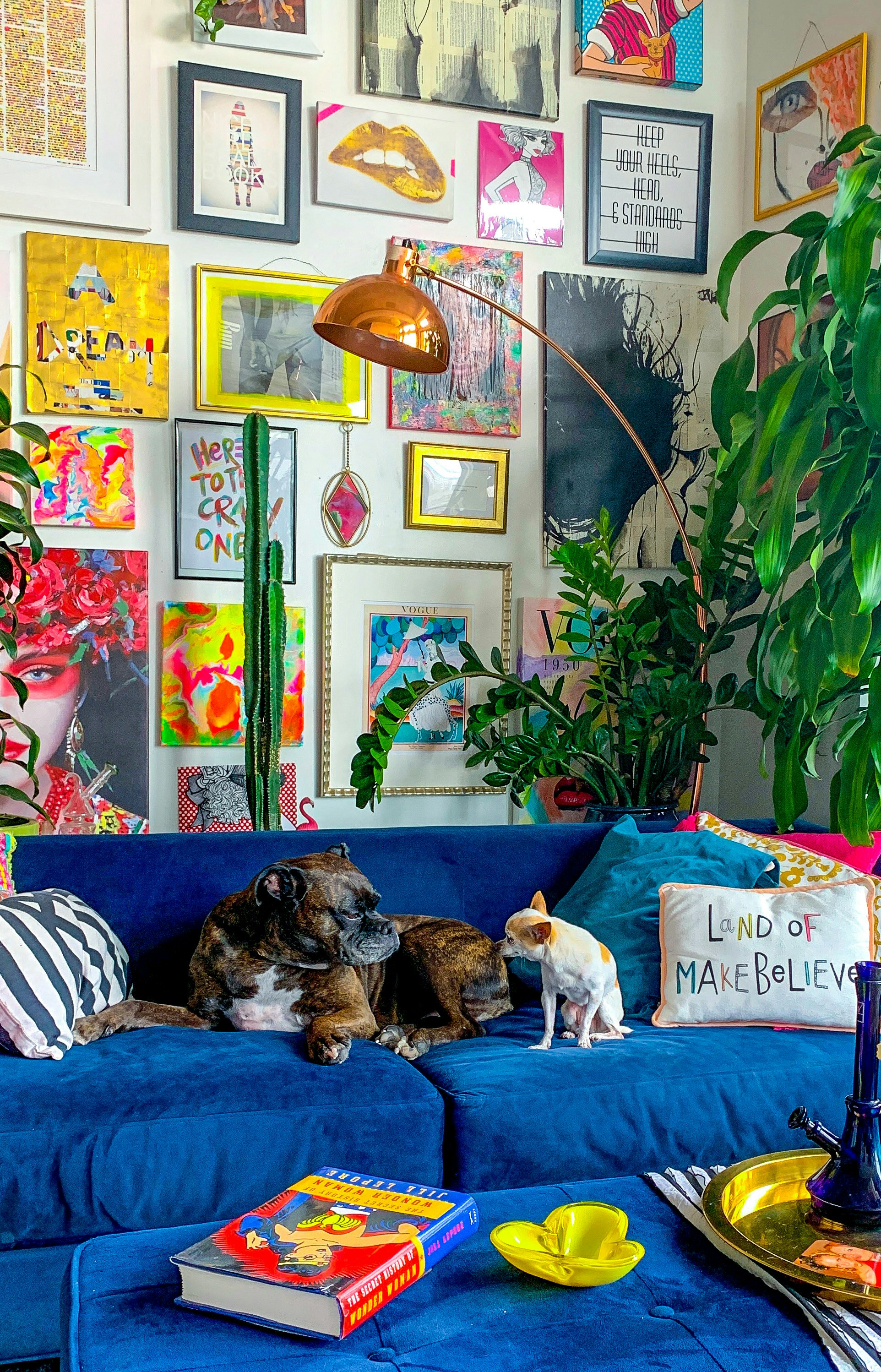Brindle boxer and tiny chihuahua friends on blue velvet couch in front of a colorful maximalist gallery wall in a Denver apartment home with lots of plants and flowers