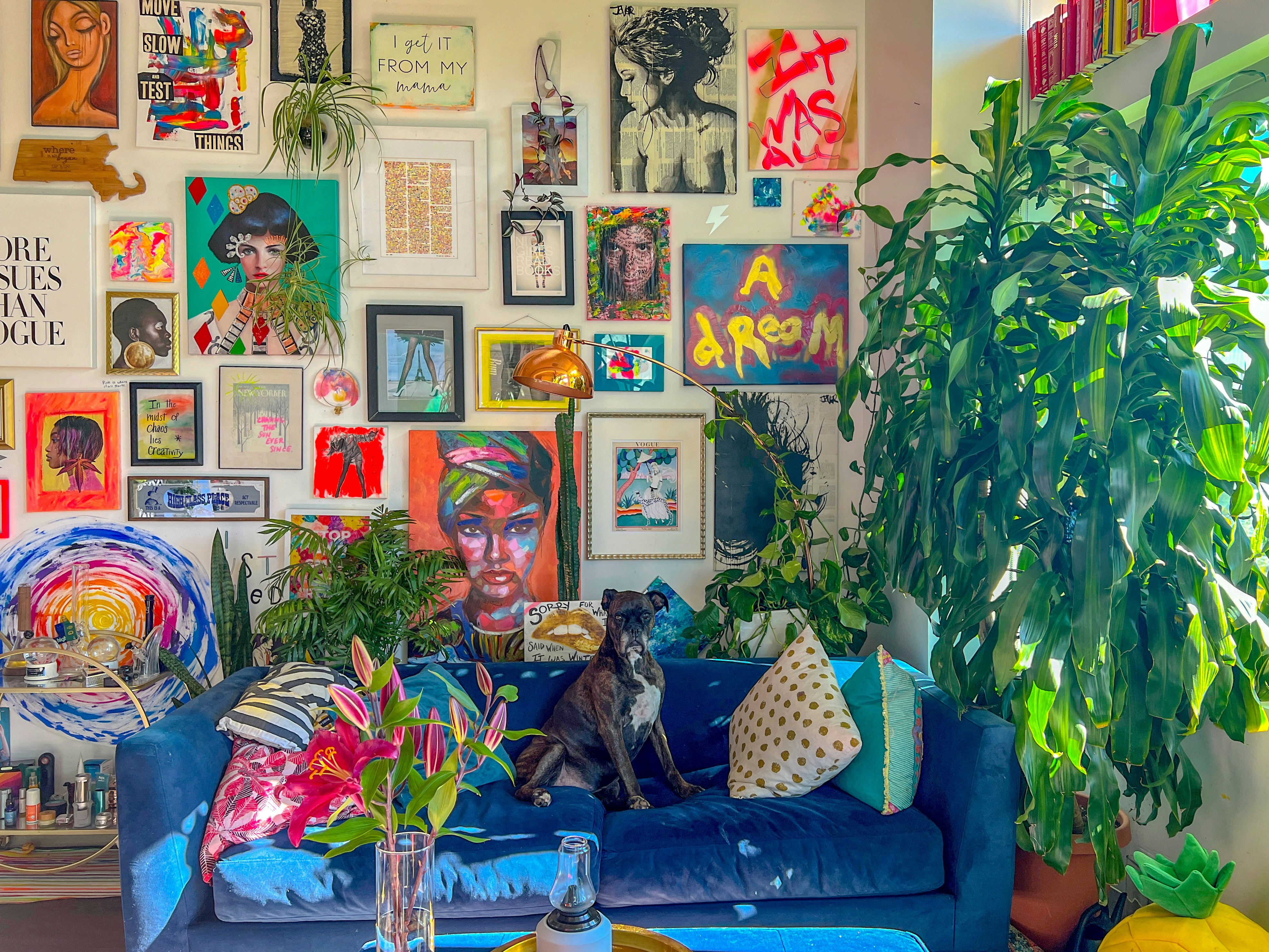 Brindle boxer on blue velvet couch in front of a colorful maximalist gallery wall in a Denver apartment home with lots of plants and flowers