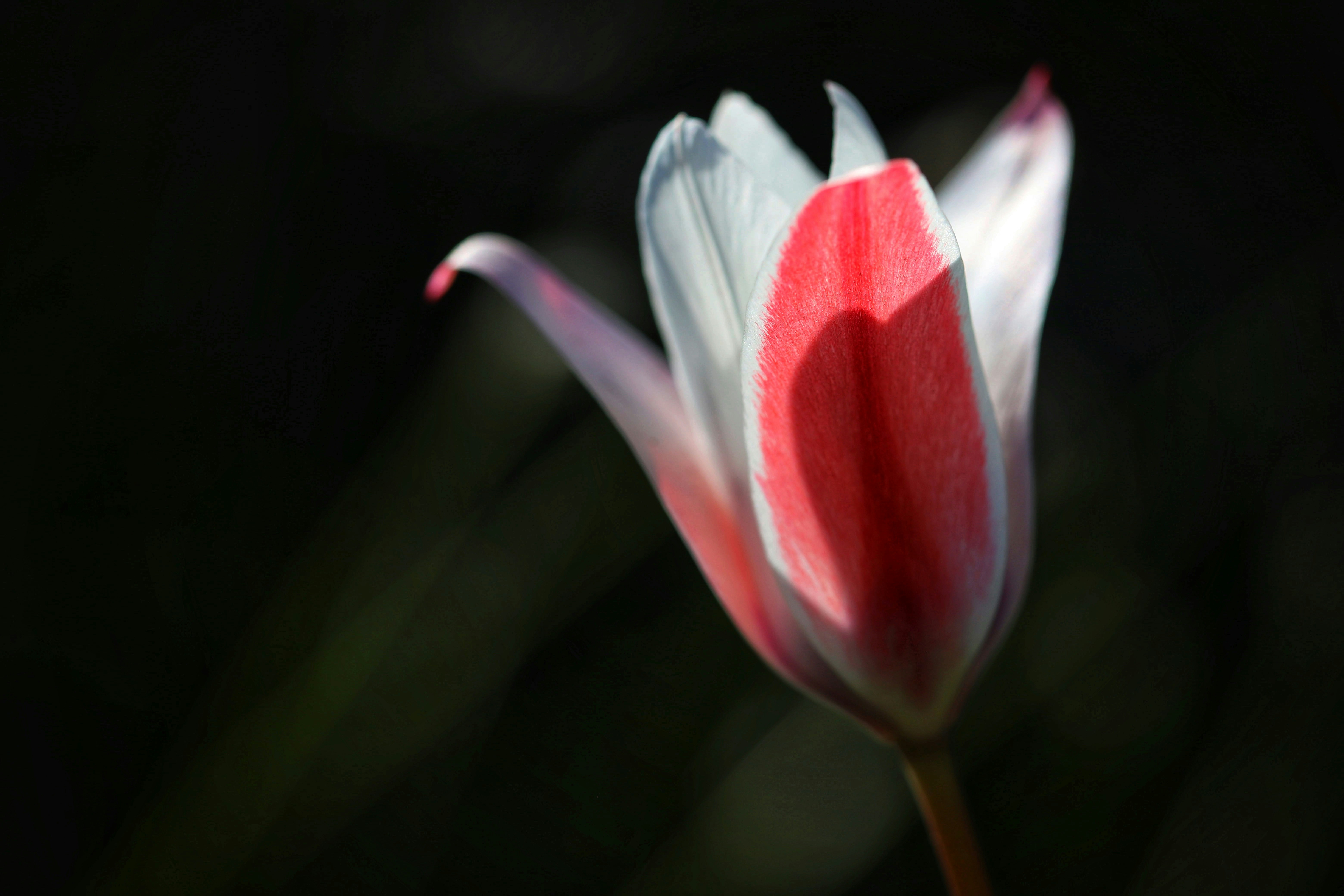Photo by hdbernd
