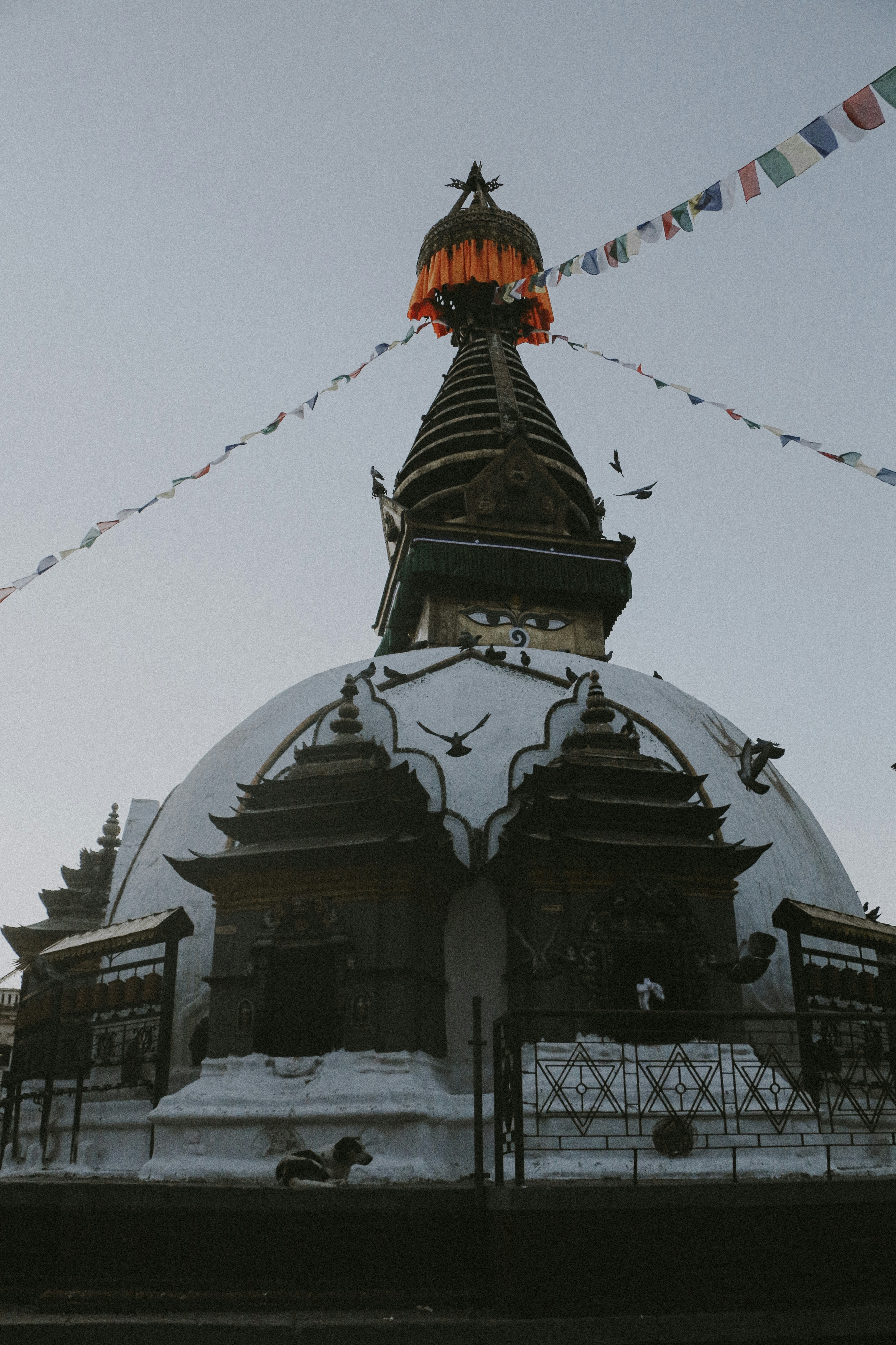 Photo by neha1301039