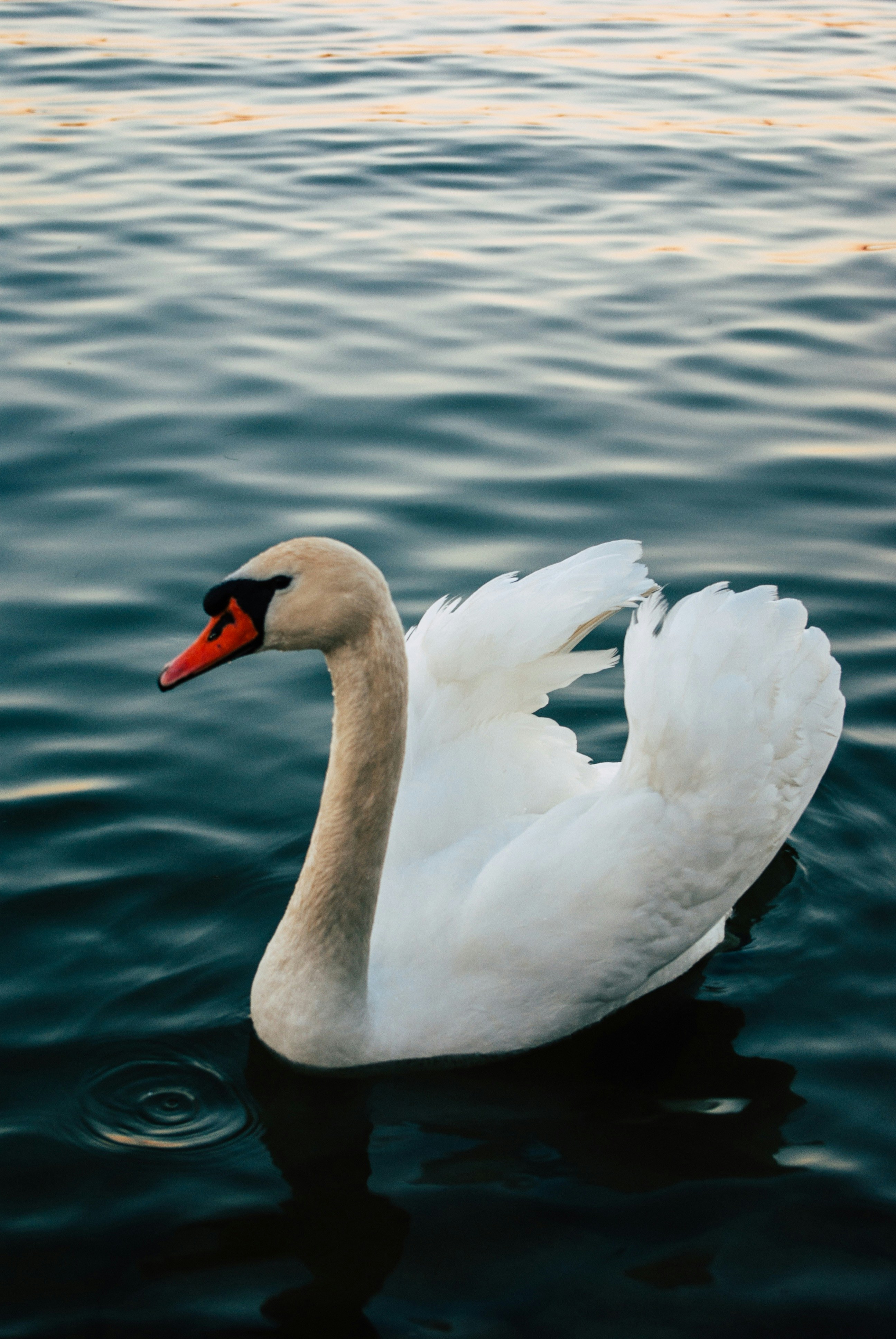 Photo by moonmoons_days