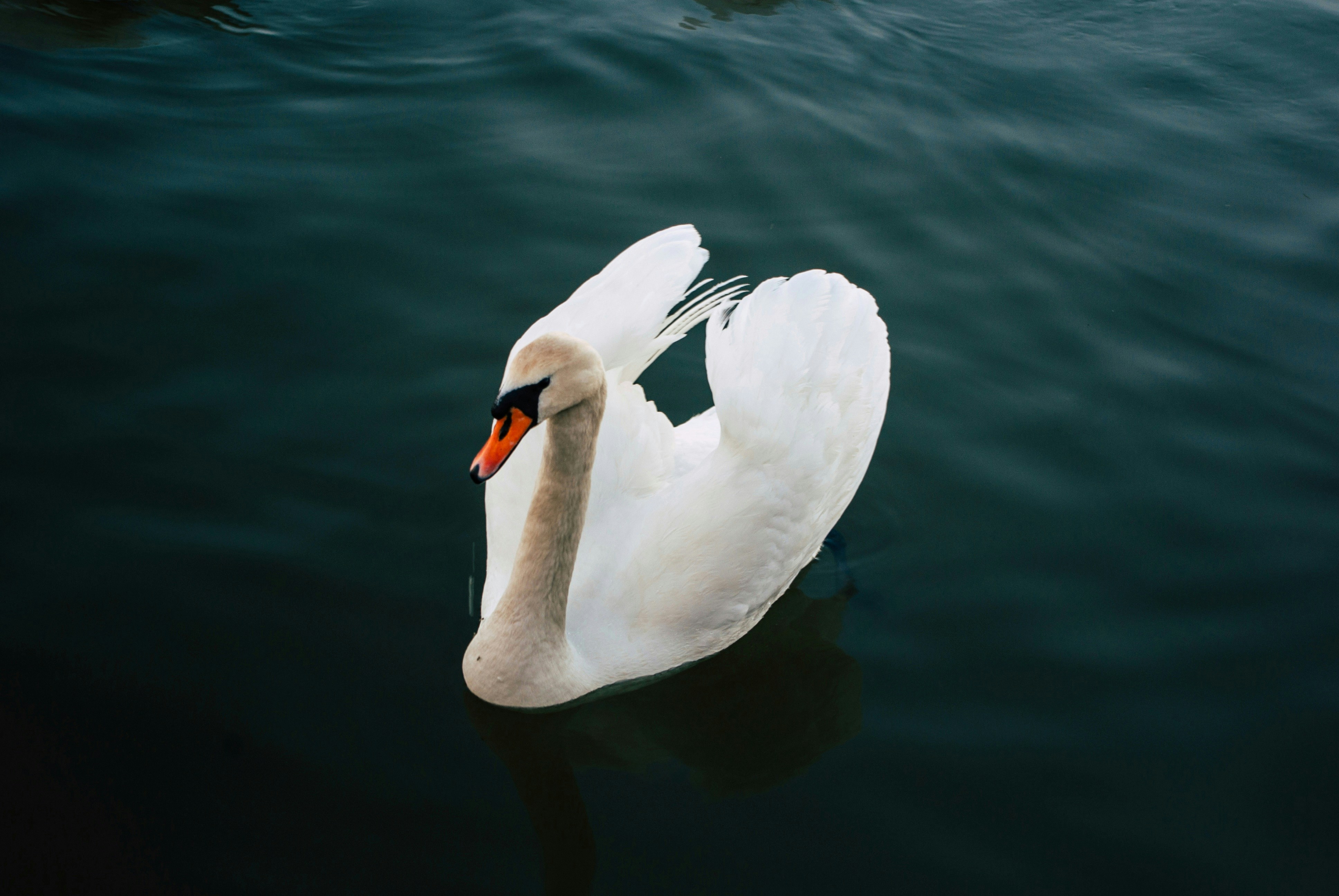 Photo by moonmoons_days