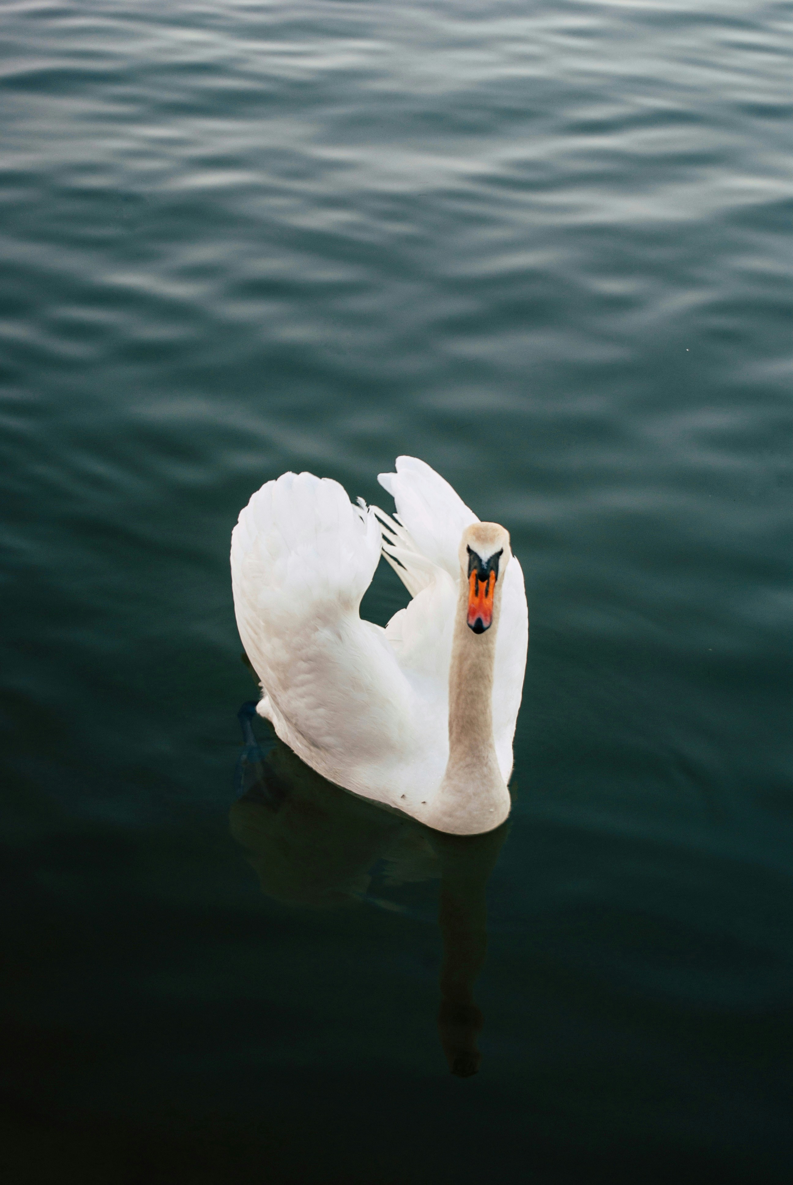 Photo by moonmoons_days