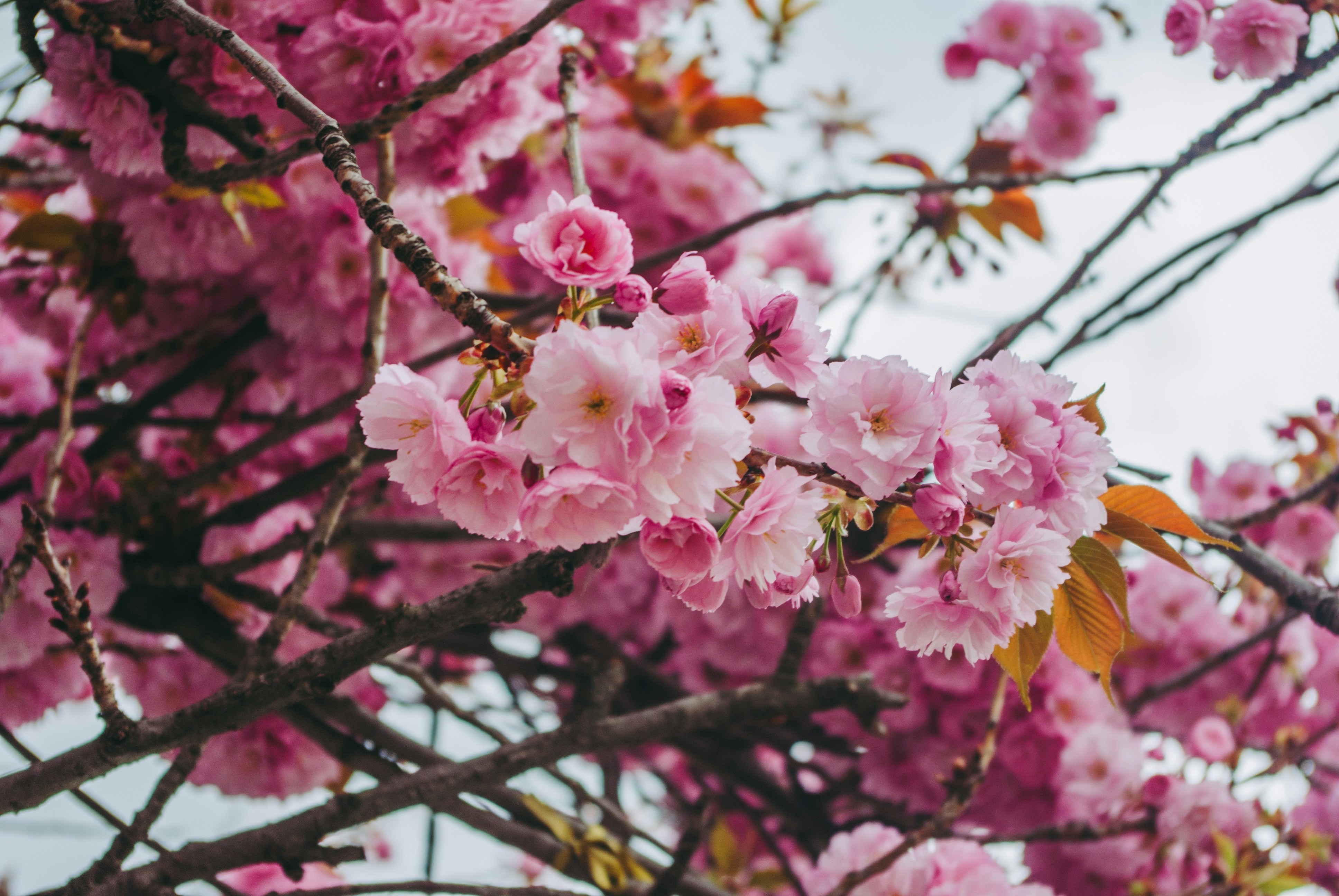 Photo by moonmoons_days