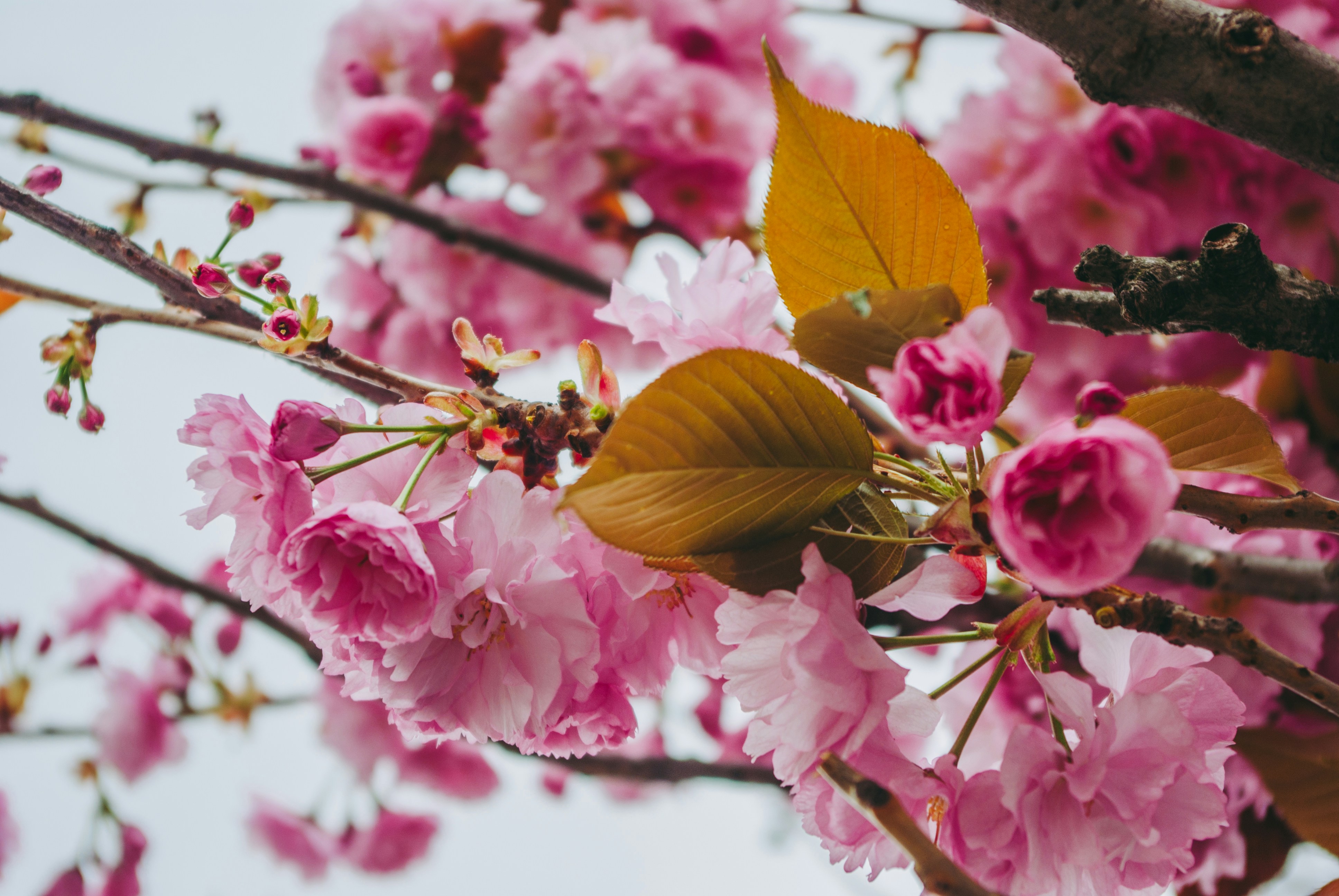 Photo by moonmoons_days