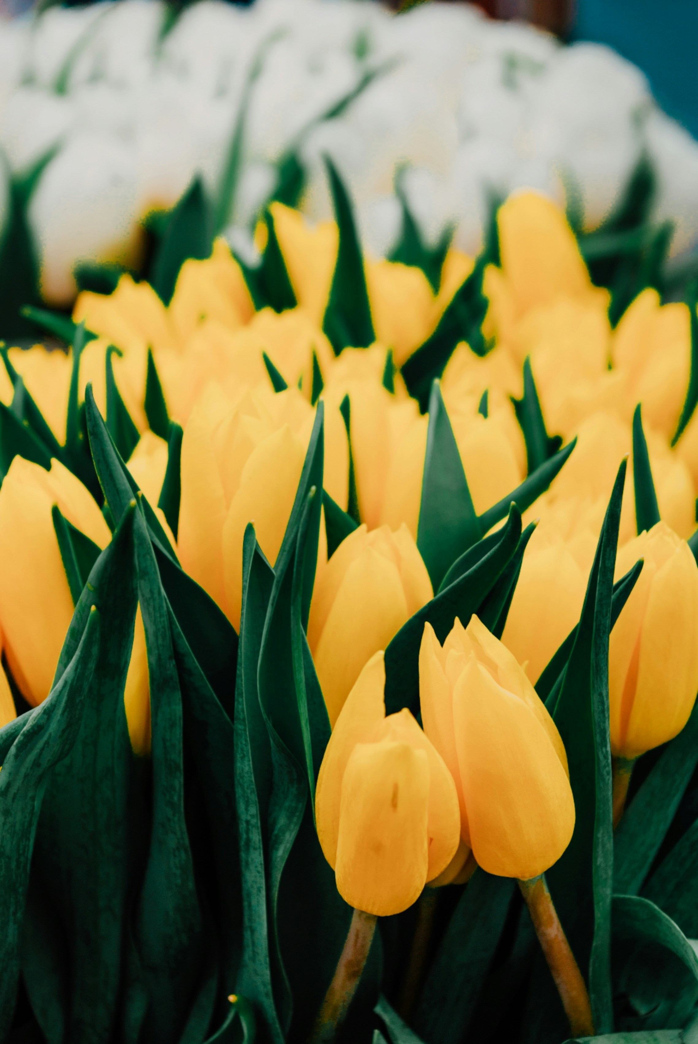 Photo by moonmoons_days