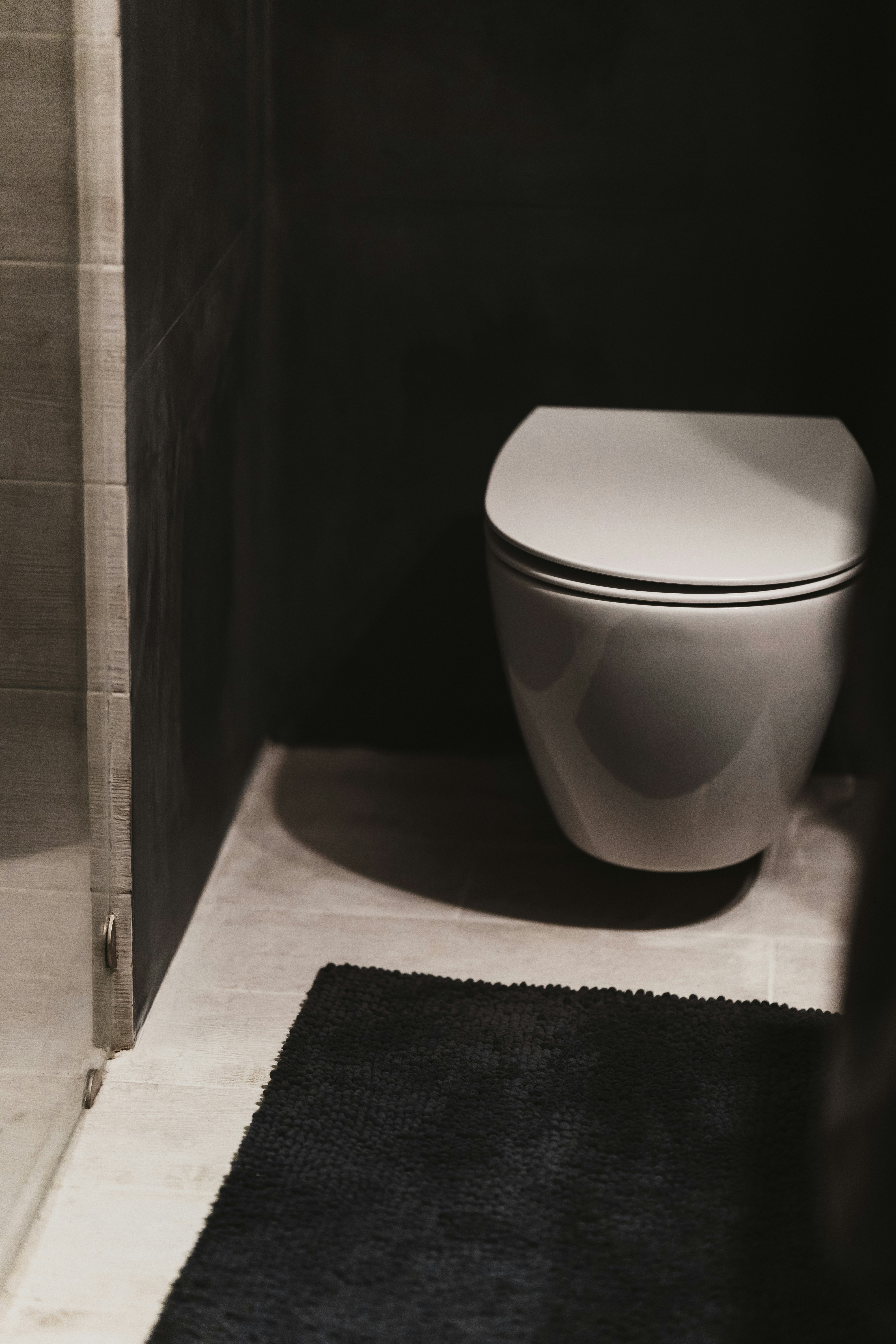 Commercial Toilet Seat - Black Elongated Toilet Seat