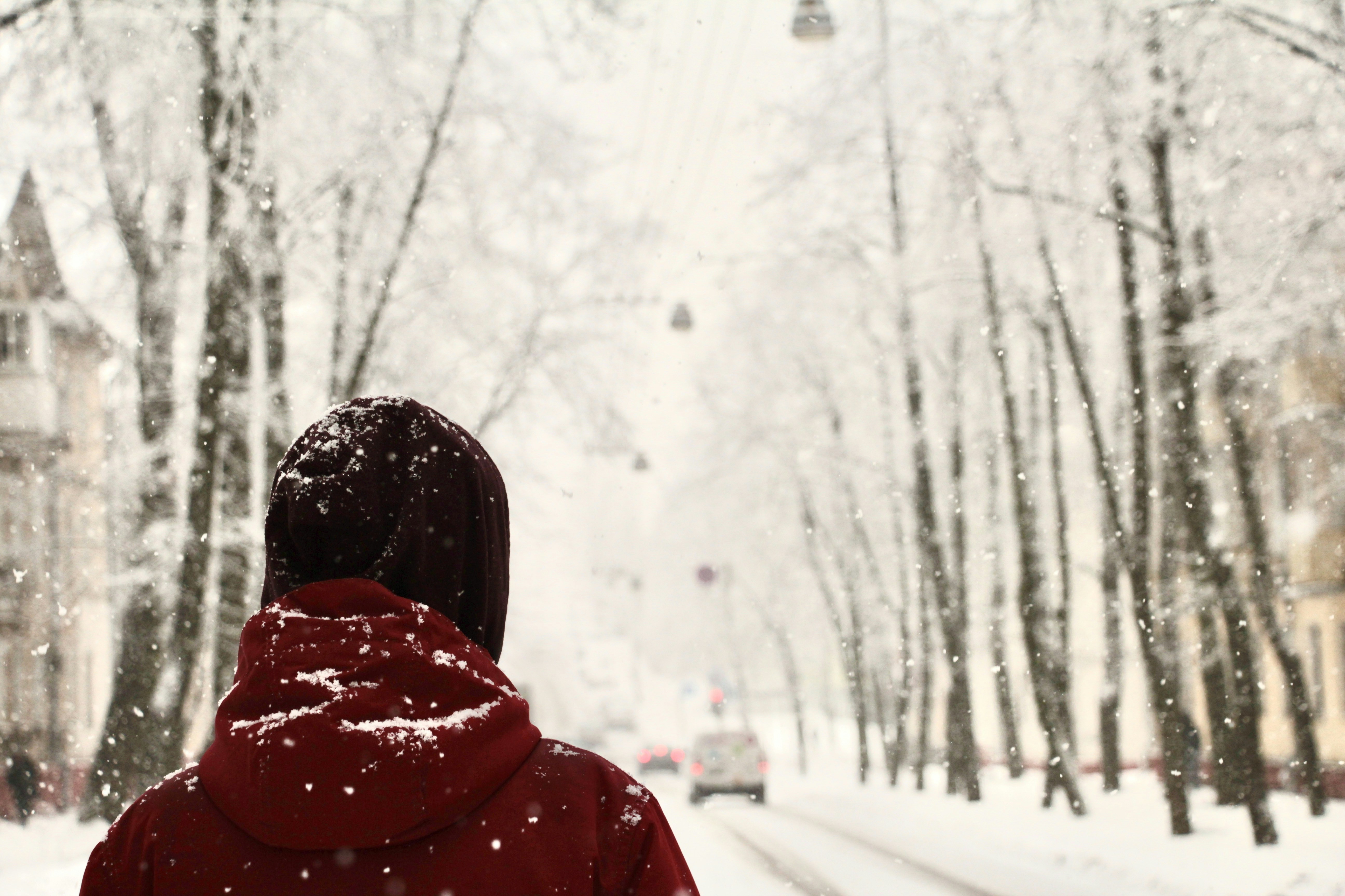 Photo by marfamellow